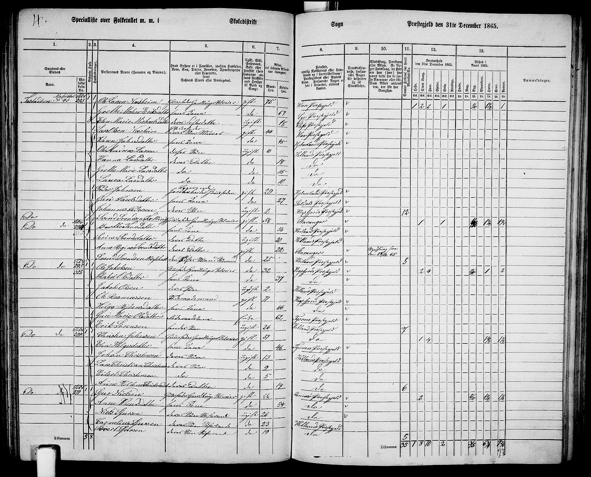 RA, 1865 census for Hetland, 1865, p. 157