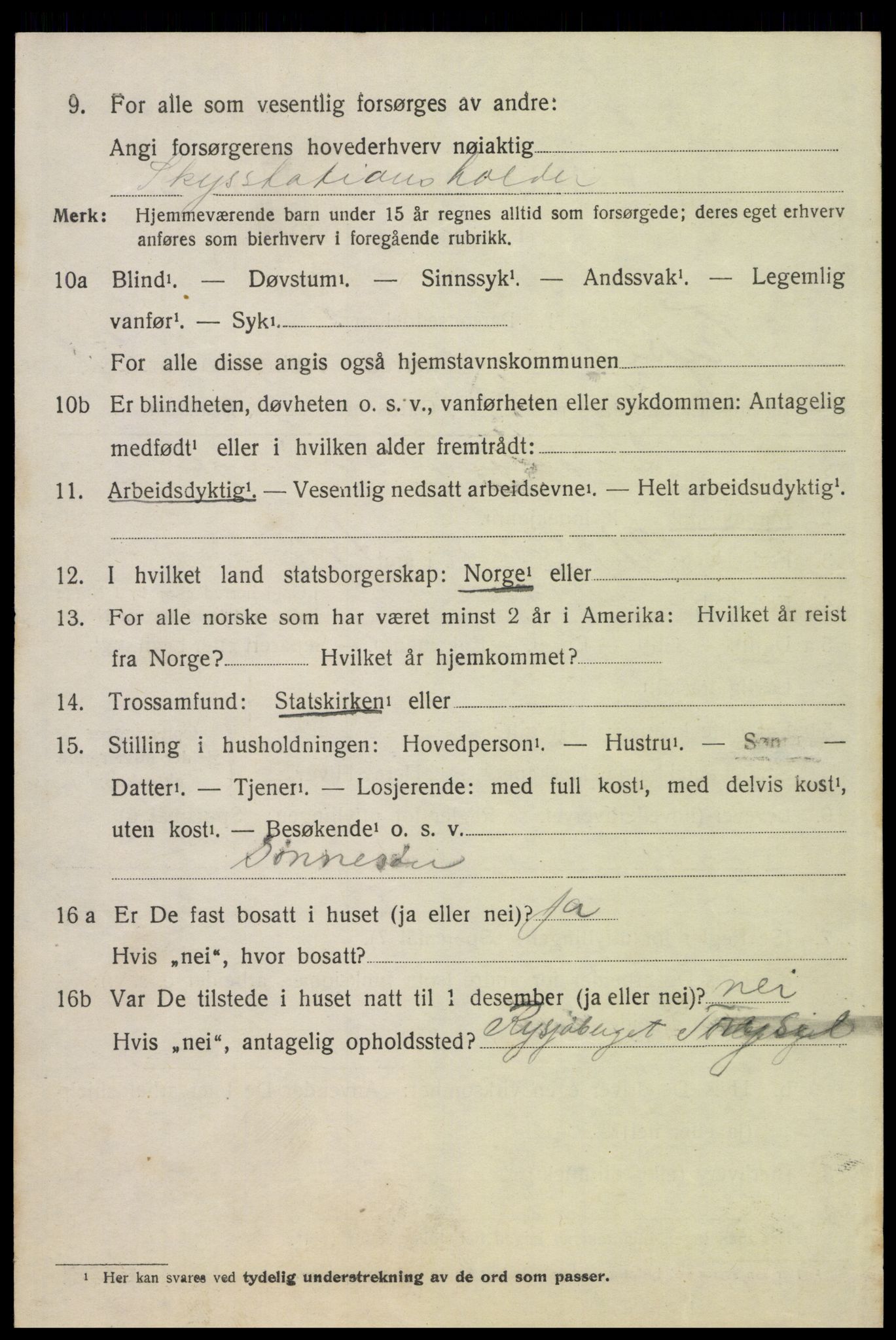 SAH, 1920 census for Trysil, 1920, p. 14136