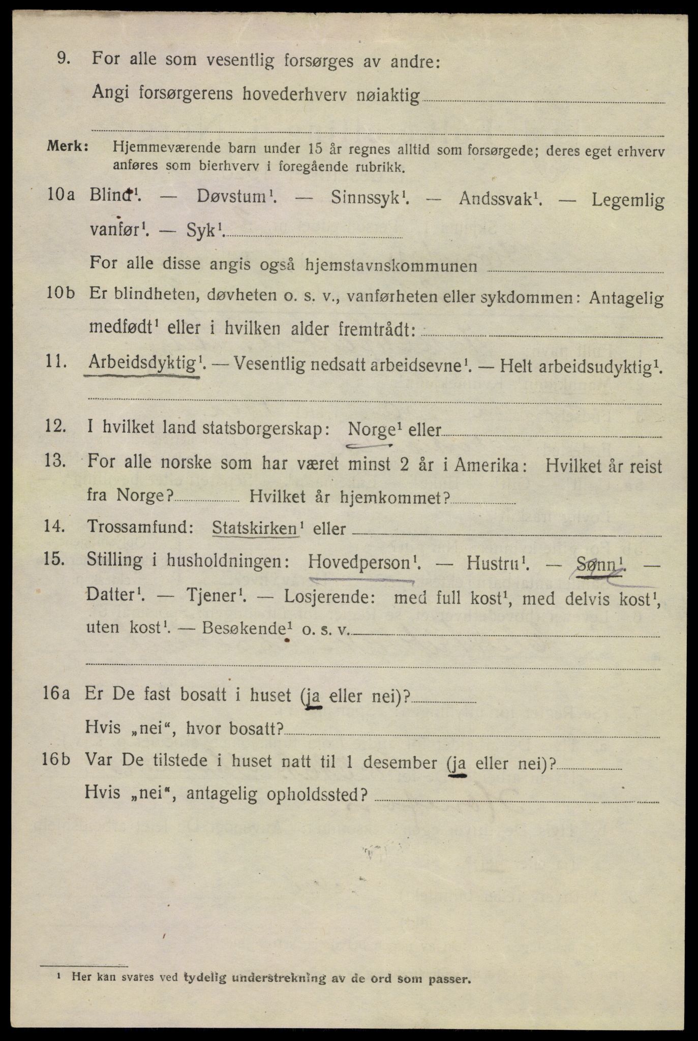 SAKO, 1920 census for Hønefoss, 1920, p. 5949