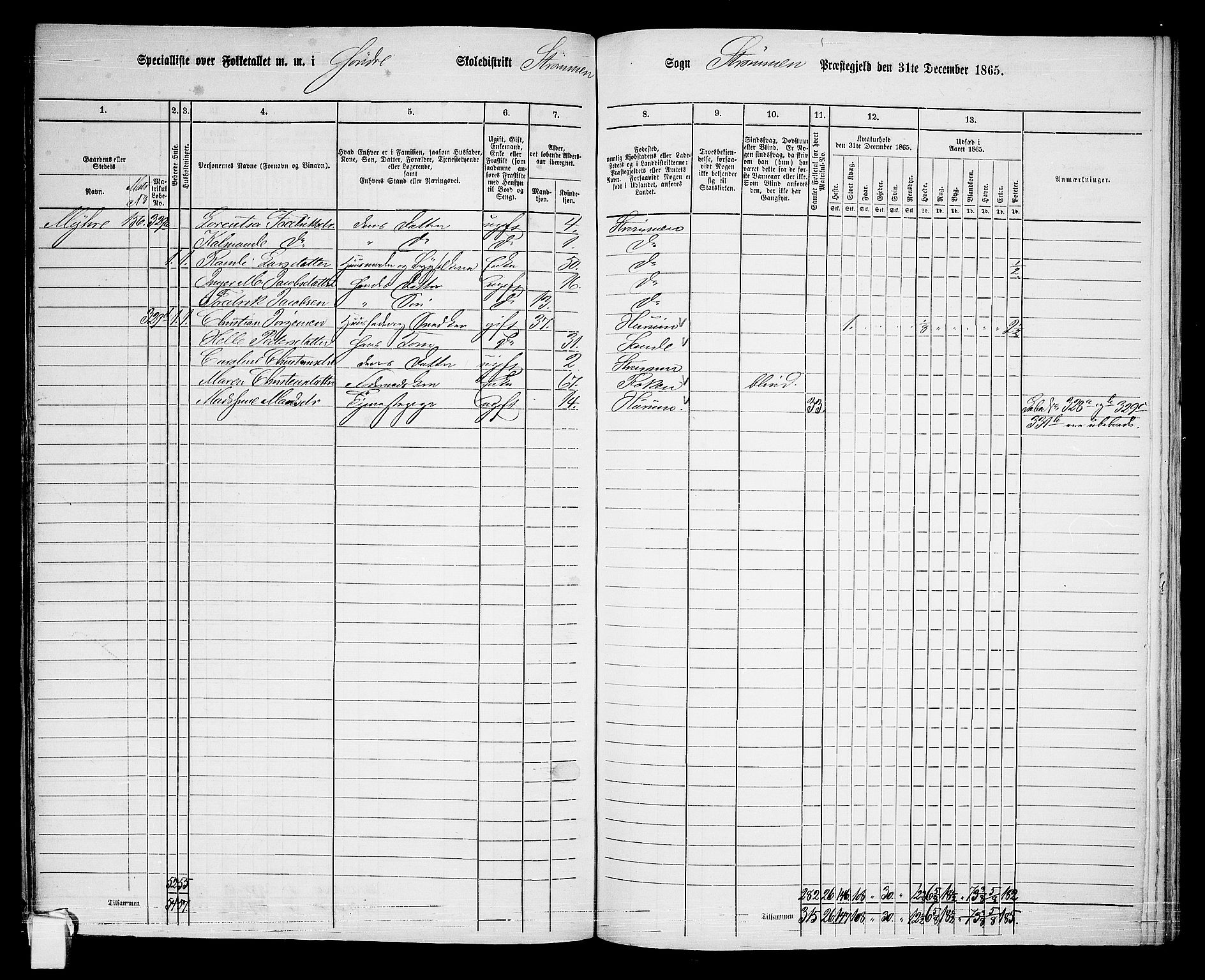 RA, 1865 census for Strømm, 1865, p. 14