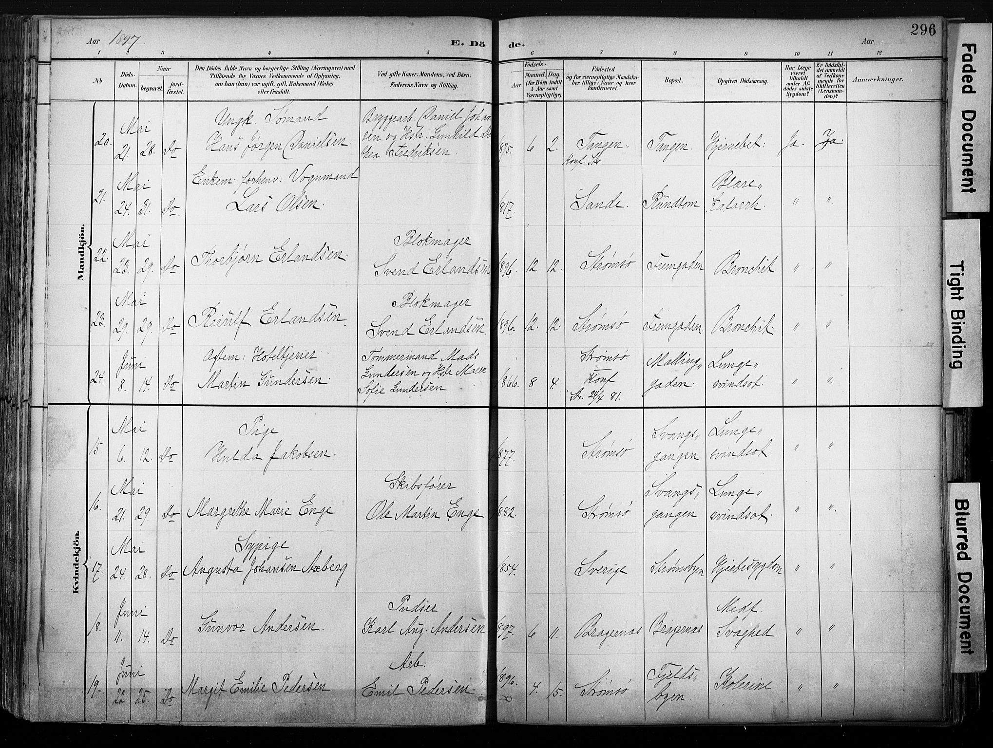 Strømsø kirkebøker, AV/SAKO-A-246/G/Ga/L0003: Parish register (copy) no. 3, 1894-1904, p. 296