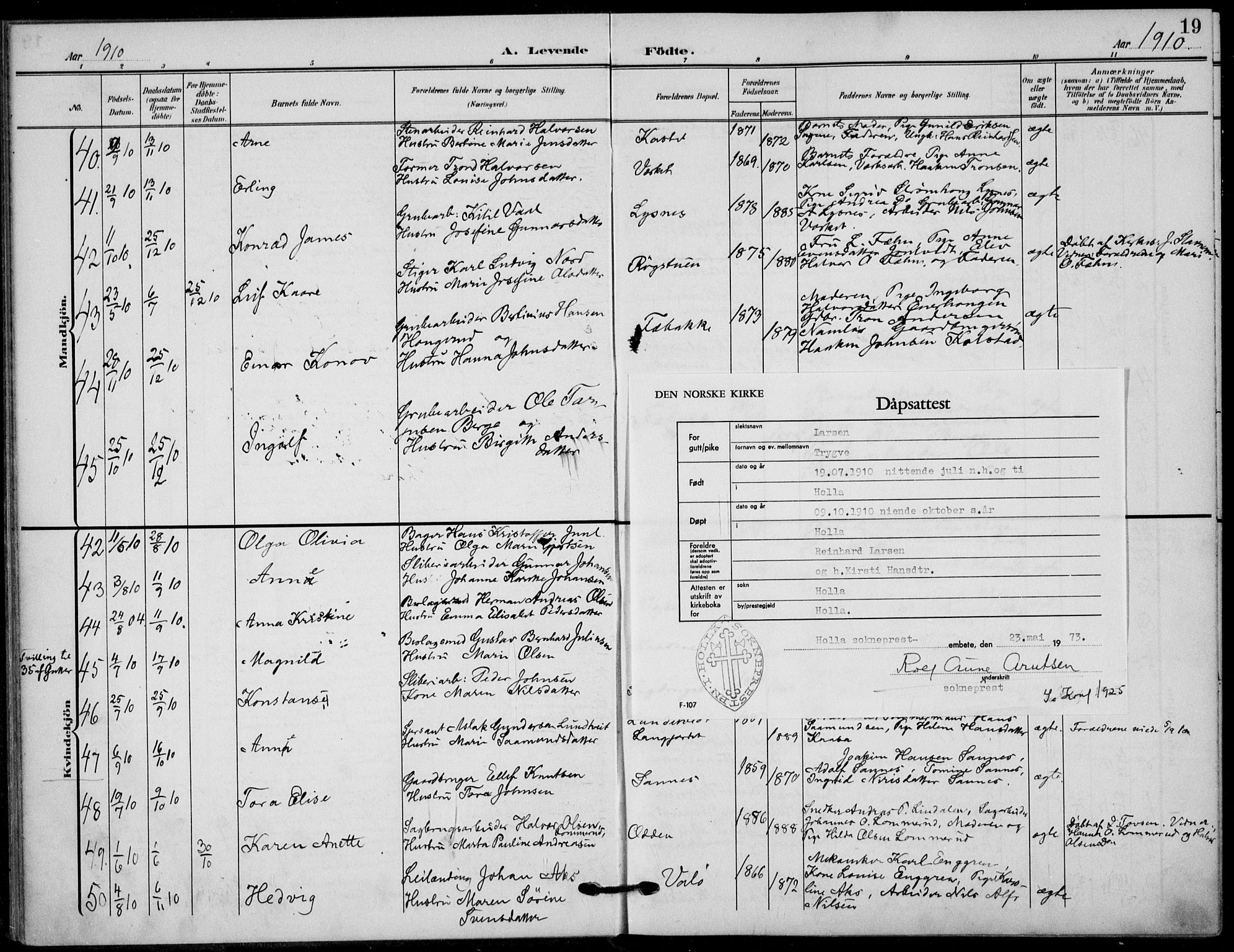 Holla kirkebøker, AV/SAKO-A-272/F/Fa/L0012: Parish register (official) no. 12, 1907-1923, p. 19