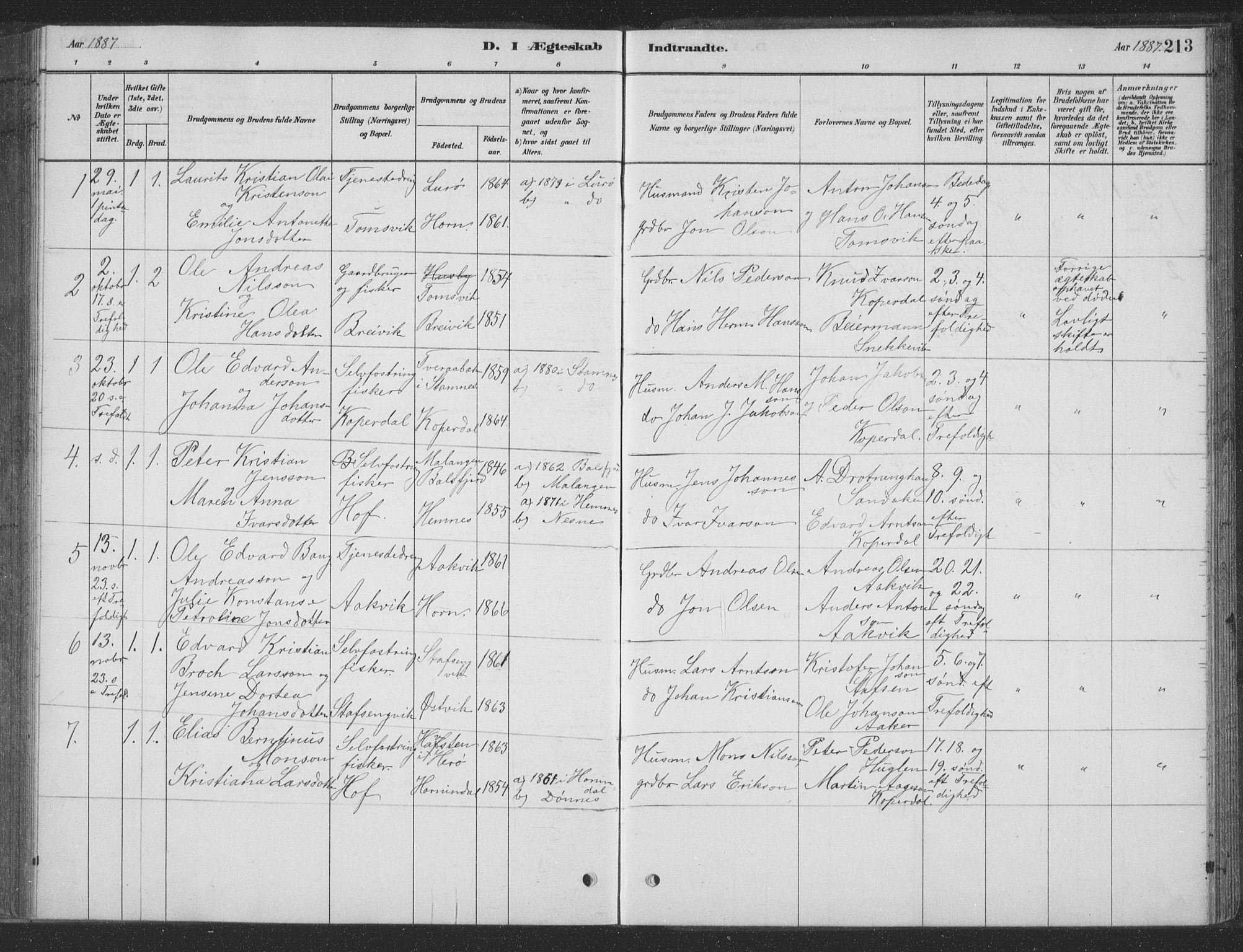 Ministerialprotokoller, klokkerbøker og fødselsregistre - Nordland, SAT/A-1459/835/L0532: Parish register (copy) no. 835C04, 1880-1905, p. 213