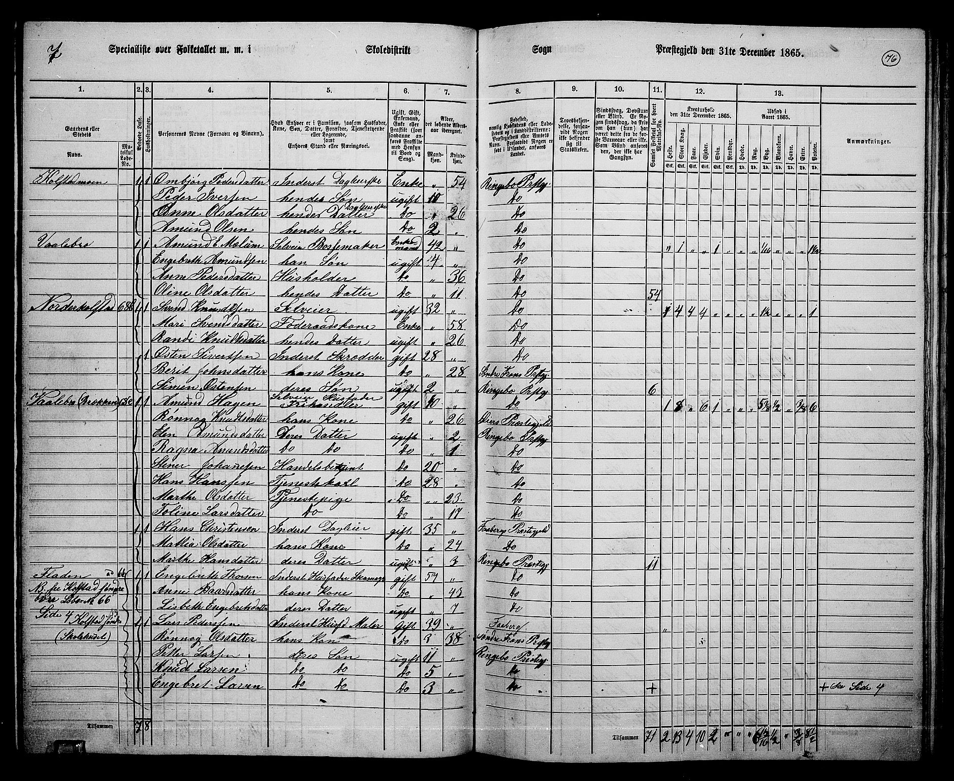 RA, 1865 census for Ringebu, 1865, p. 63