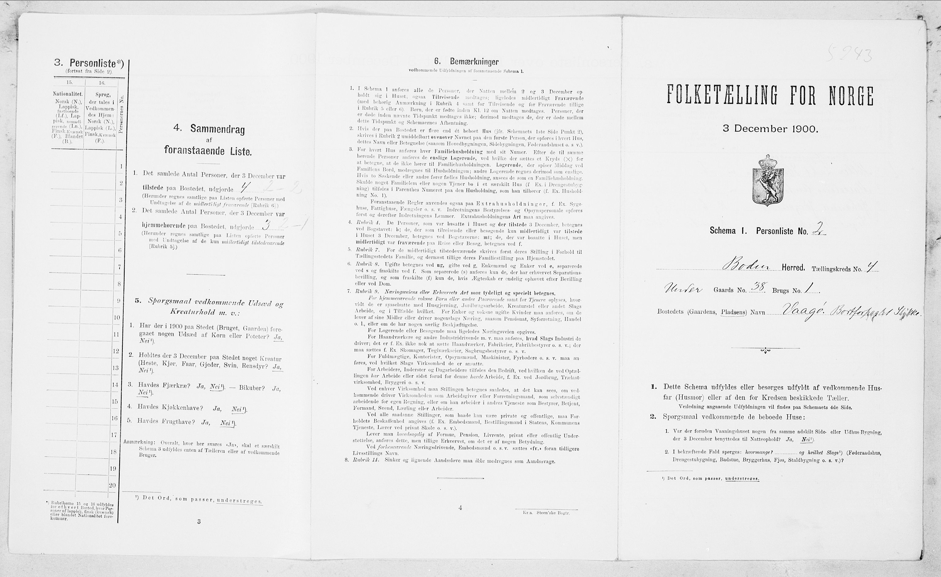 SAT, 1900 census for Bodin, 1900, p. 318