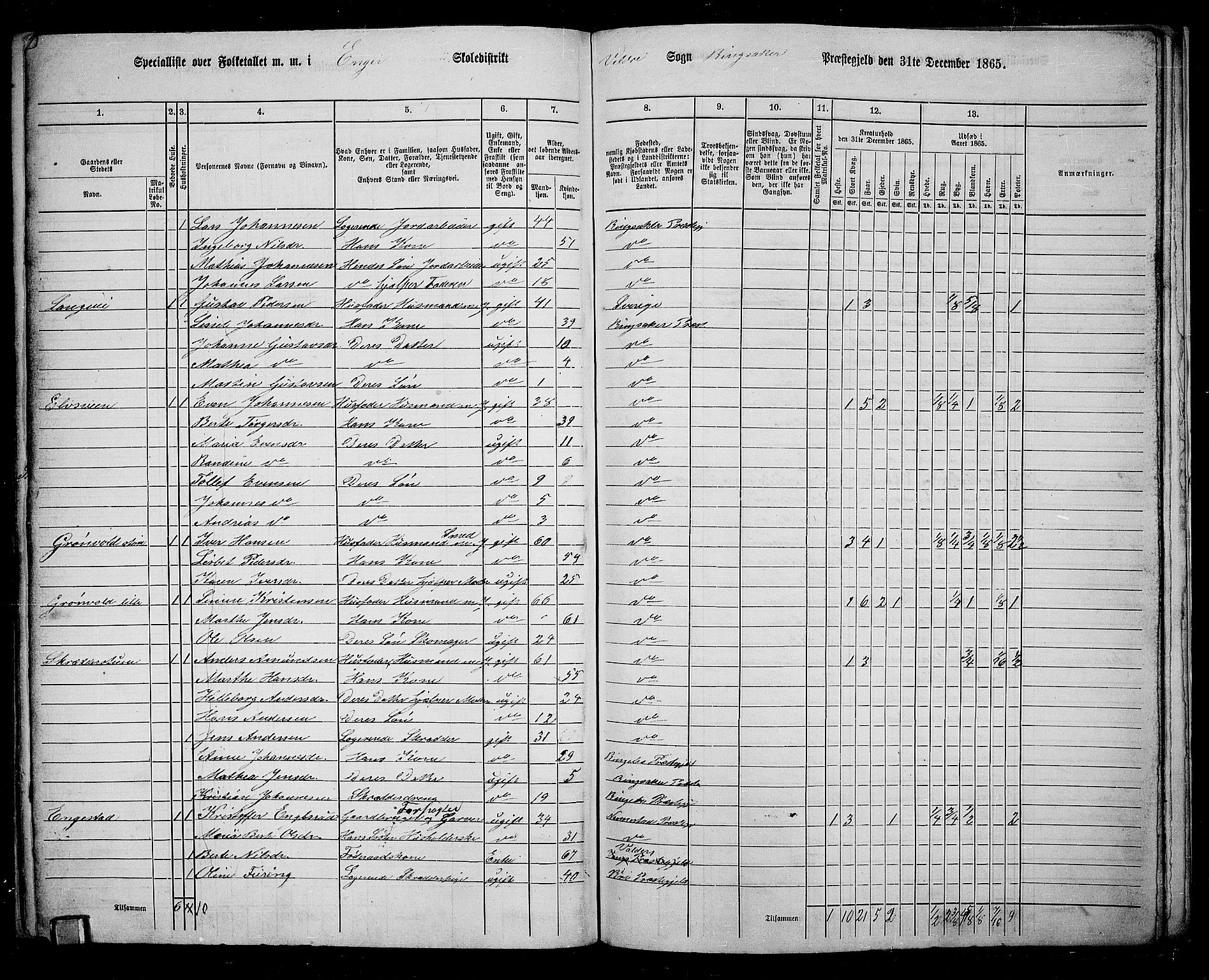 RA, 1865 census for Ringsaker, 1865, p. 246