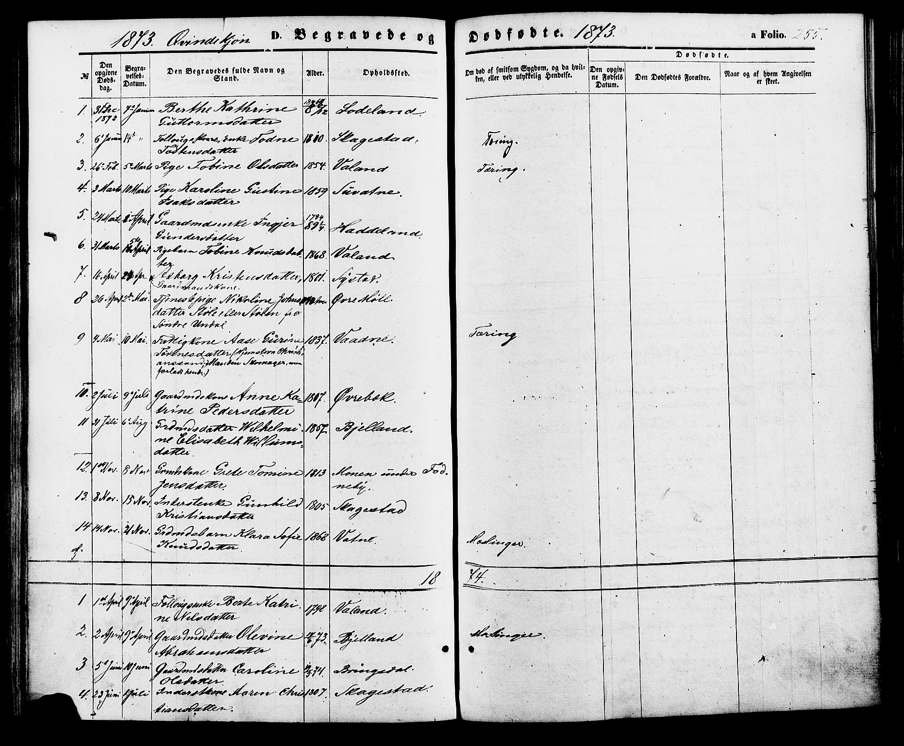 Holum sokneprestkontor, AV/SAK-1111-0022/F/Fa/Faa/L0006: Parish register (official) no. A 6, 1865-1883, p. 255