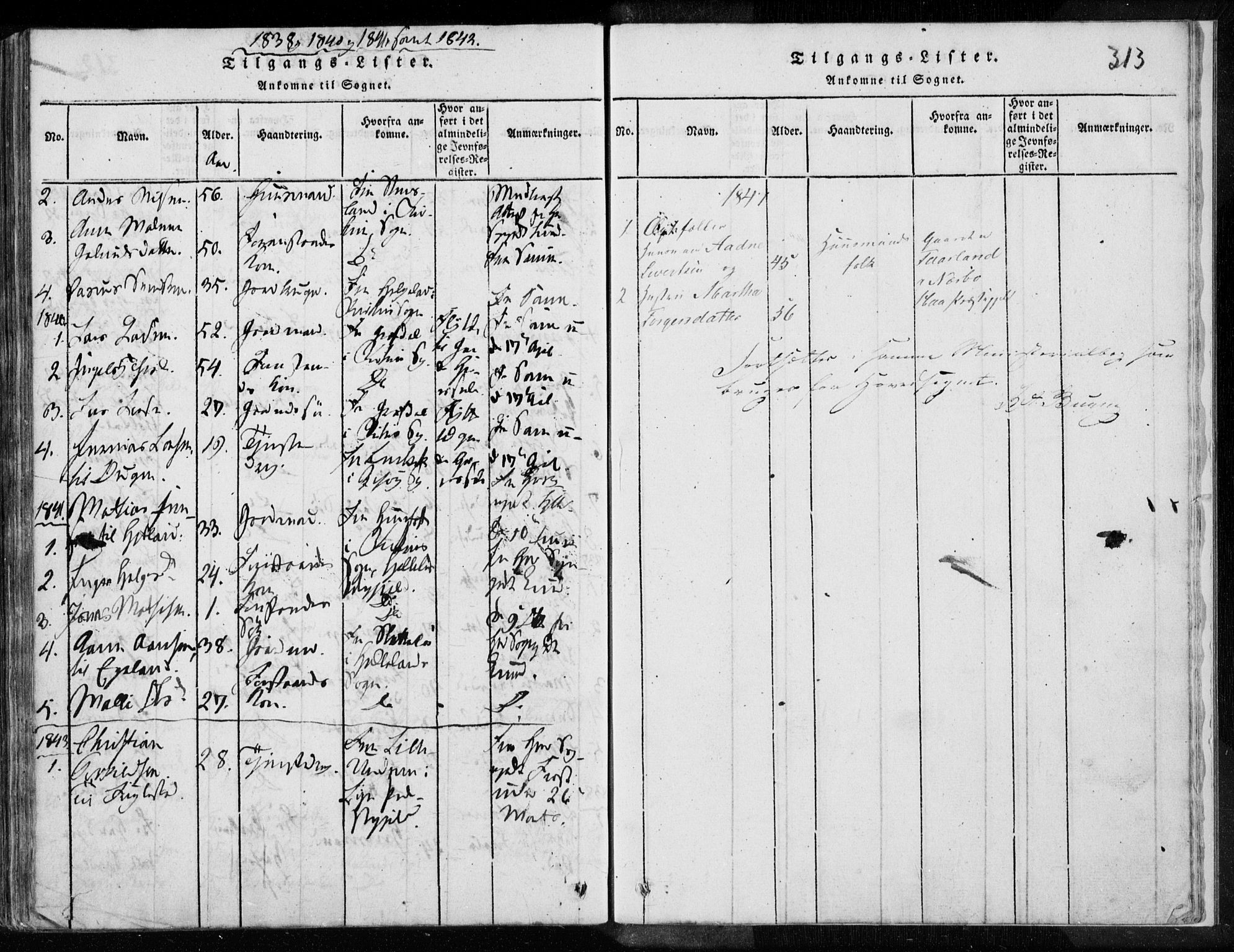 Eigersund sokneprestkontor, SAST/A-101807/S08/L0008: Parish register (official) no. A 8, 1816-1847, p. 313
