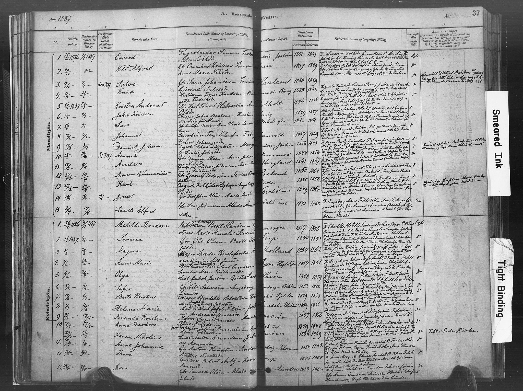 Hommedal sokneprestkontor, AV/SAK-1111-0023/F/Fa/Fab/L0006: Parish register (official) no. A 6, 1878-1897, p. 37