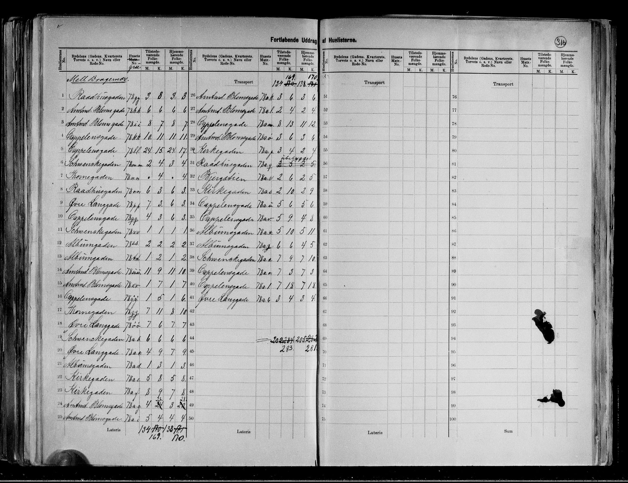RA, 1891 census for 0602 Drammen, 1891, p. 31