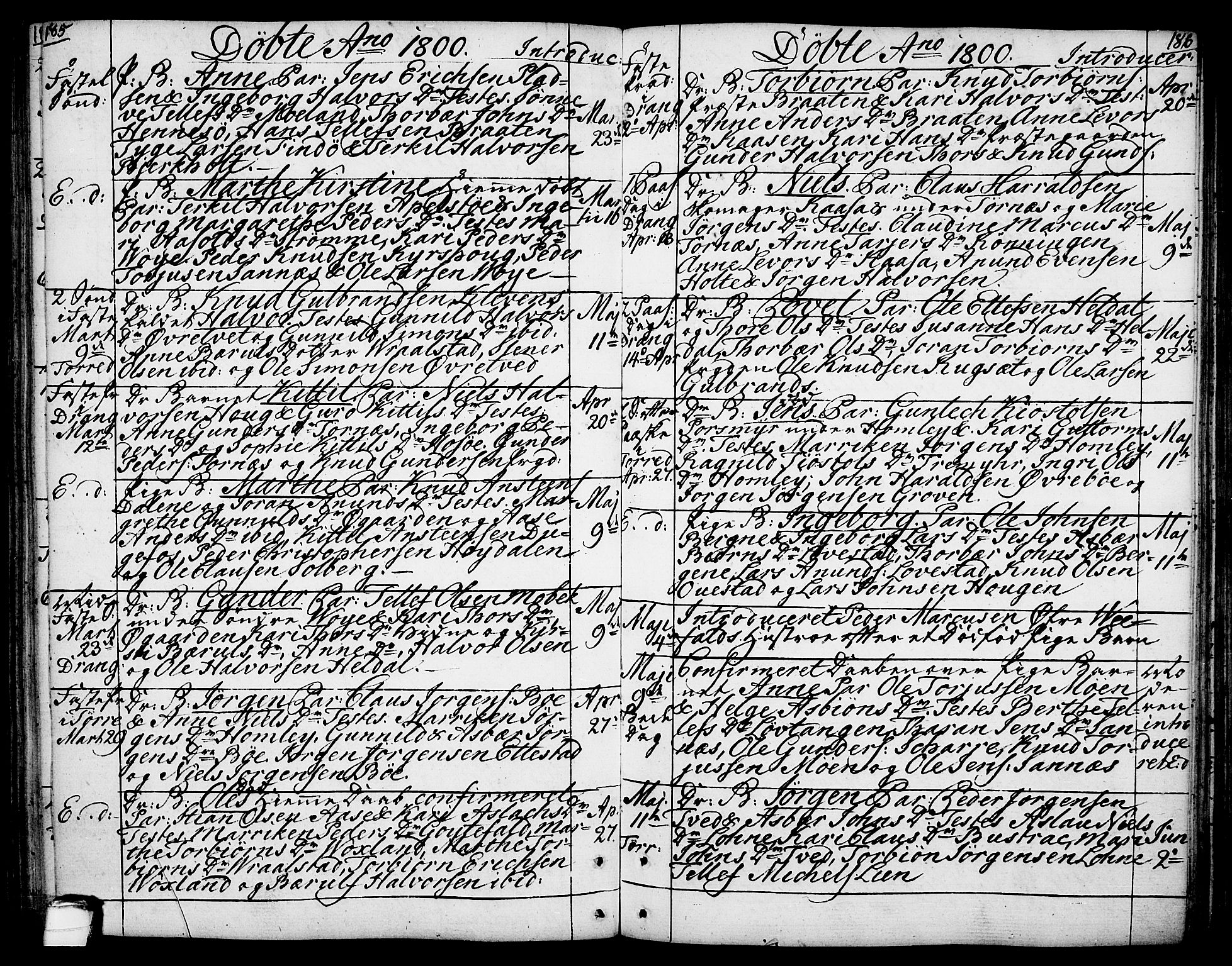Drangedal kirkebøker, SAKO/A-258/F/Fa/L0003: Parish register (official) no. 3, 1768-1814, p. 185-186