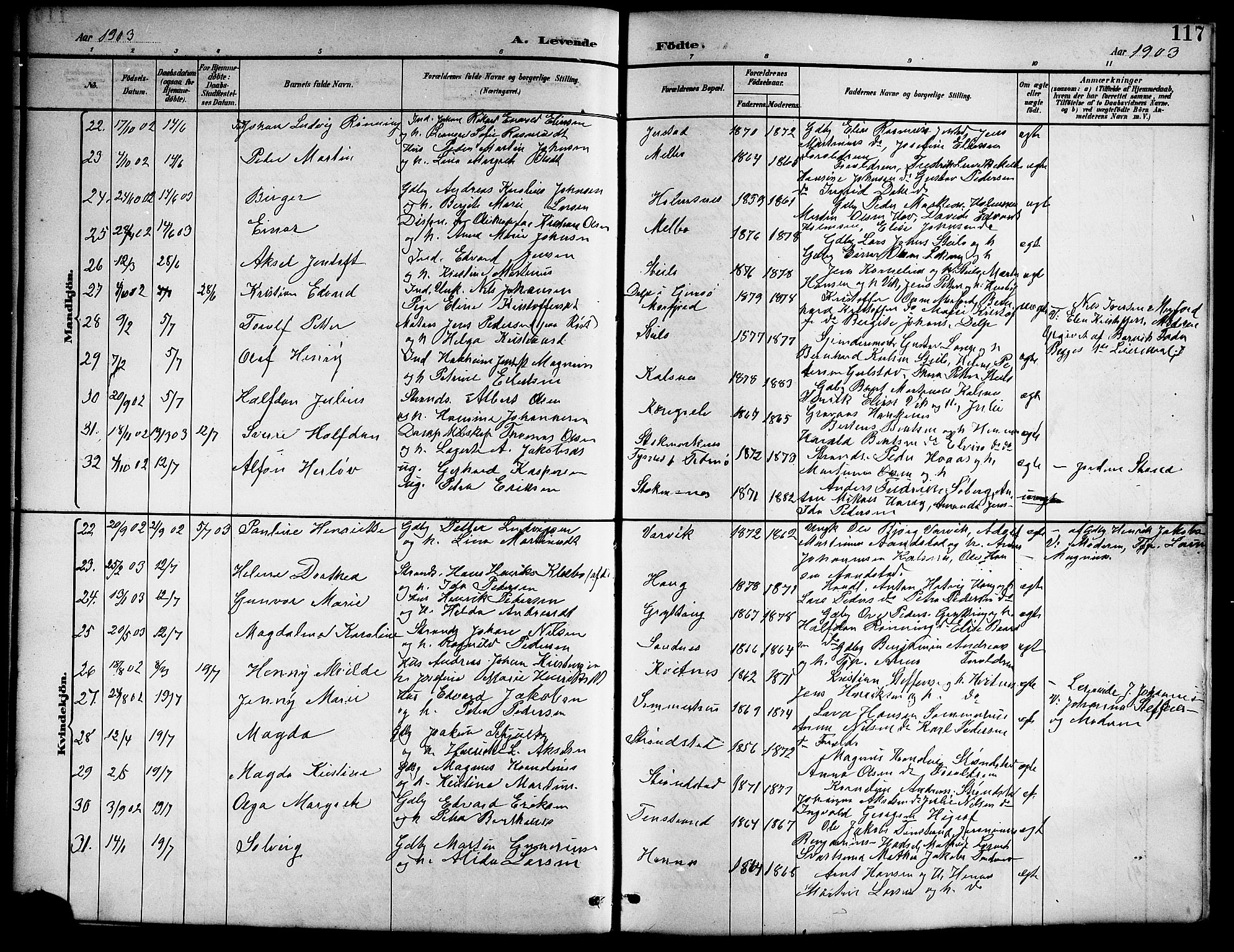 Ministerialprotokoller, klokkerbøker og fødselsregistre - Nordland, SAT/A-1459/888/L1268: Parish register (copy) no. 888C06, 1891-1908, p. 117