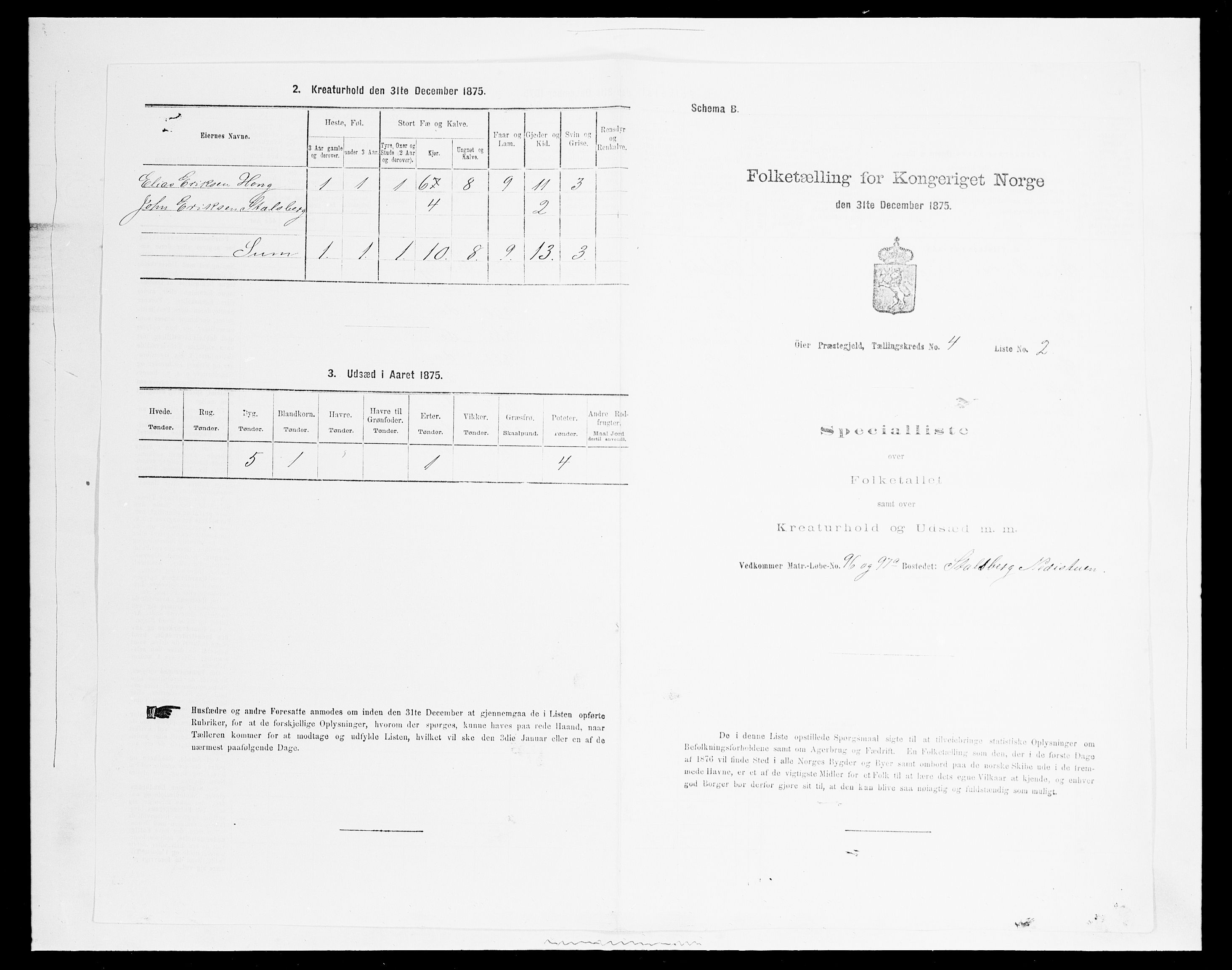 SAH, 1875 census for 0521P Øyer, 1875, p. 736