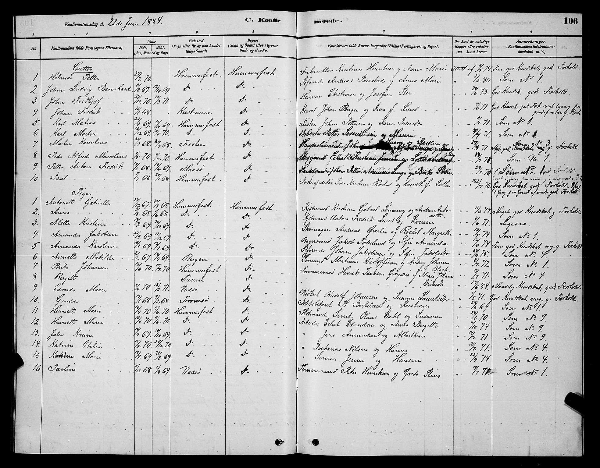Hammerfest sokneprestkontor, SATØ/S-1347/H/Hb/L0006.klokk: Parish register (copy) no. 6, 1876-1884, p. 106