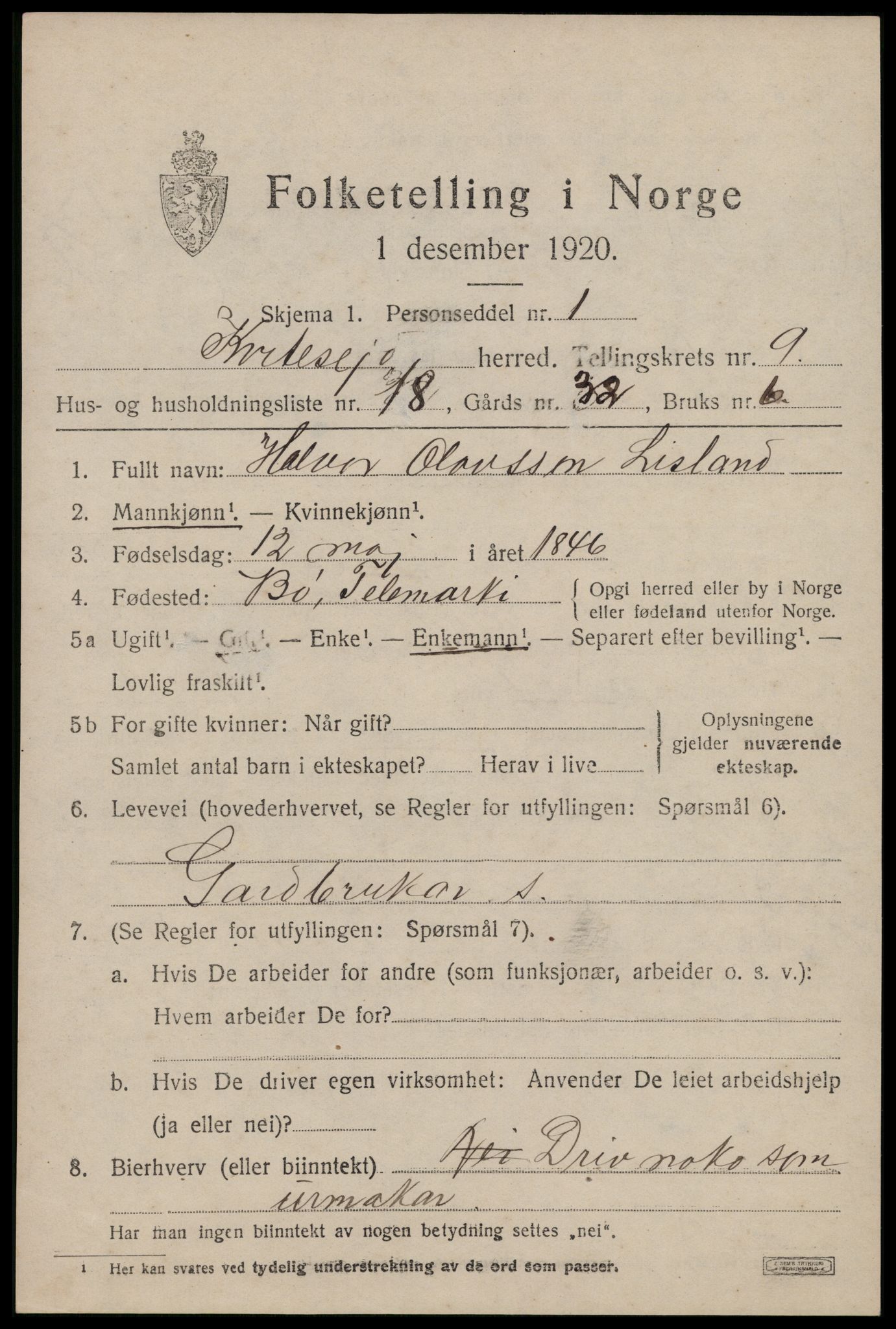 SAKO, 1920 census for Kviteseid, 1920, p. 4367