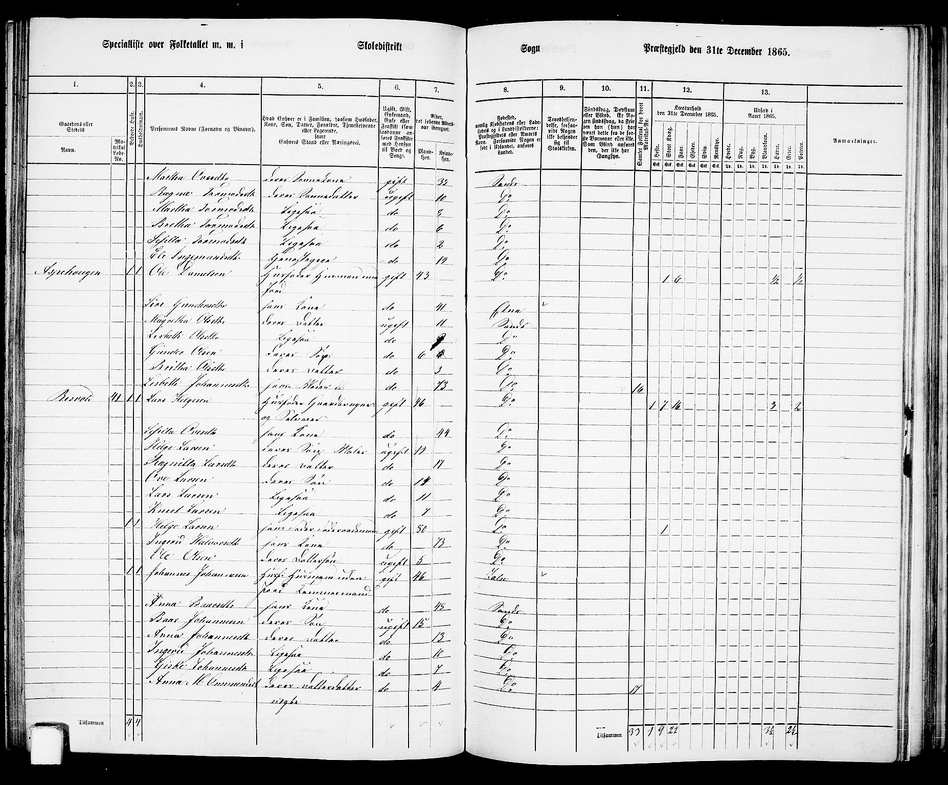 RA, 1865 census for Sand, 1865, p. 100