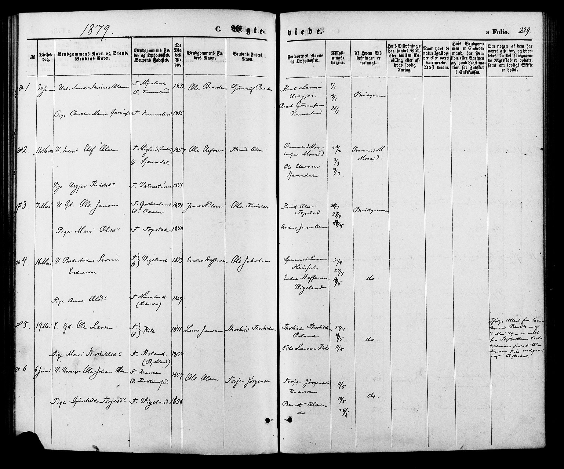 Vennesla sokneprestkontor, AV/SAK-1111-0045/Fa/Fac/L0008: Parish register (official) no. A 8, 1874-1883, p. 229