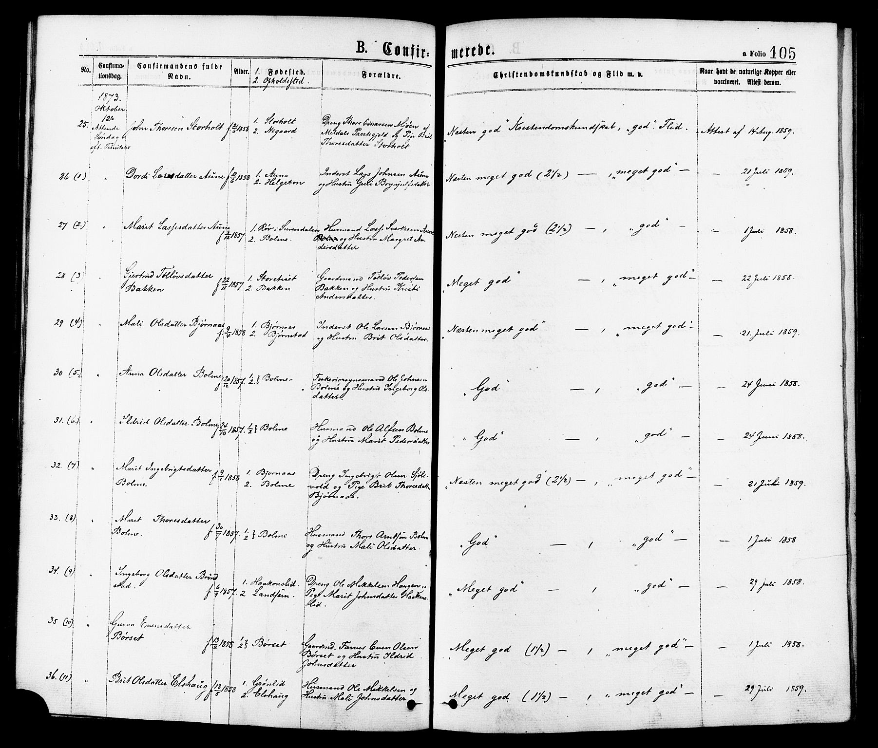 Ministerialprotokoller, klokkerbøker og fødselsregistre - Møre og Romsdal, AV/SAT-A-1454/598/L1068: Parish register (official) no. 598A02, 1872-1881, p. 105