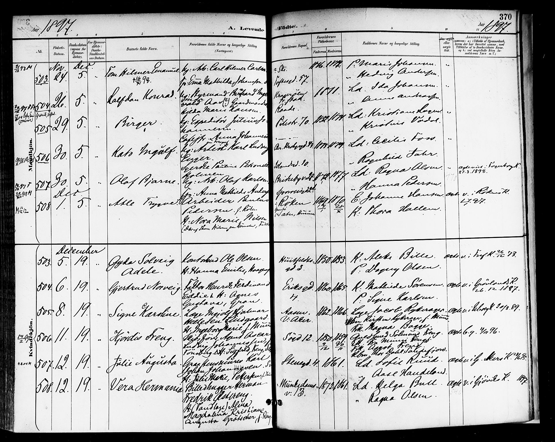 Rikshospitalet prestekontor Kirkebøker, AV/SAO-A-10309b/F/L0009: Parish register (official) no. 9, 1894-1897, p. 370