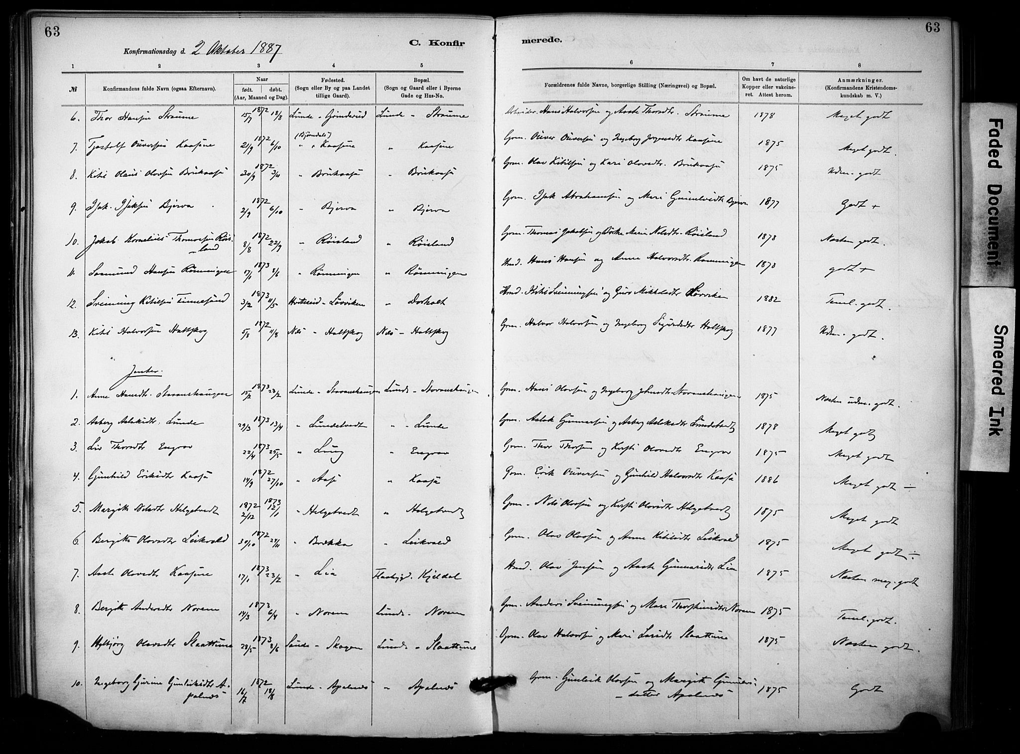 Lunde kirkebøker, AV/SAKO-A-282/F/Fa/L0002: Parish register (official) no. I 2, 1884-1892, p. 63