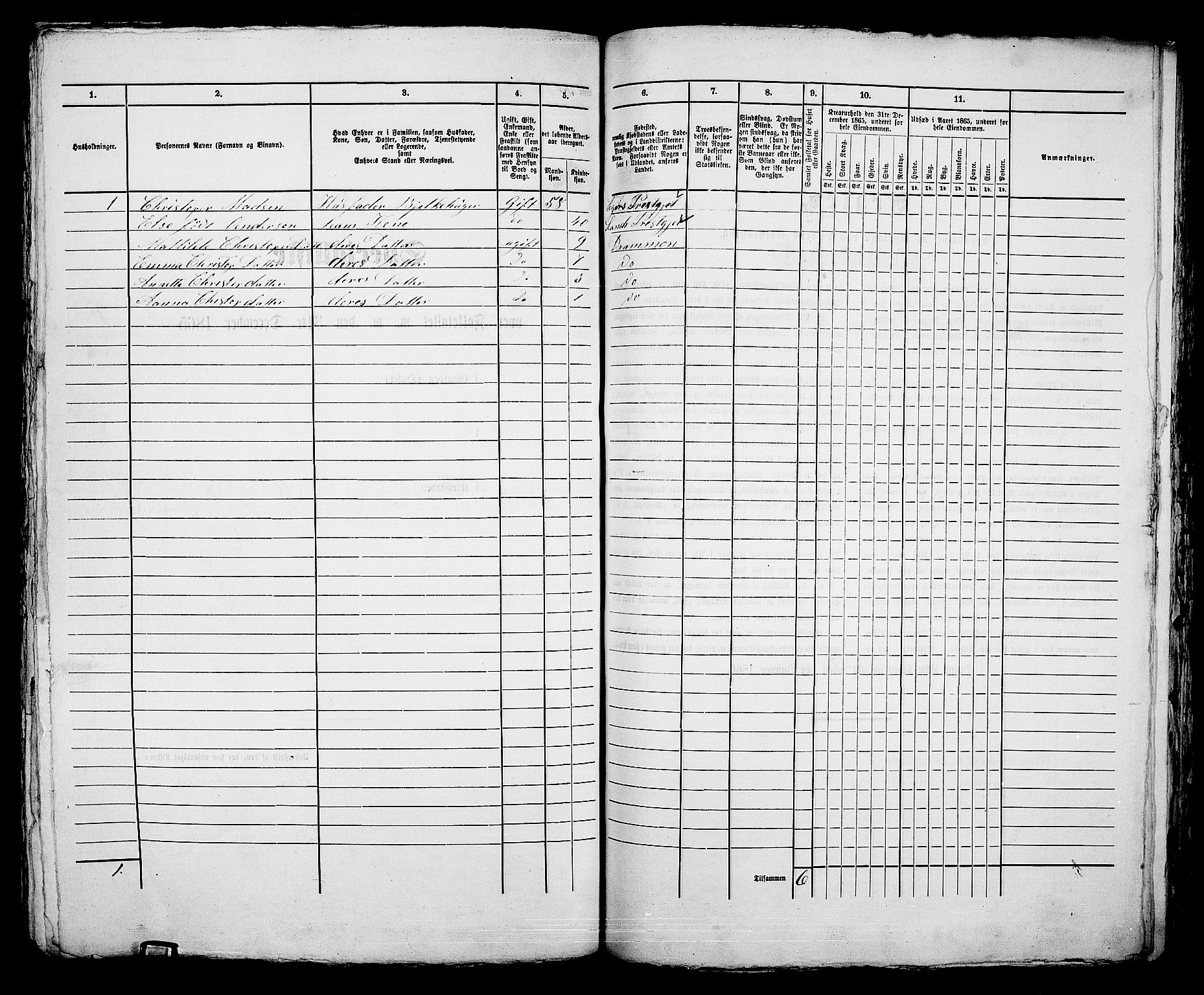 RA, 1865 census for Bragernes in Drammen, 1865, p. 1084