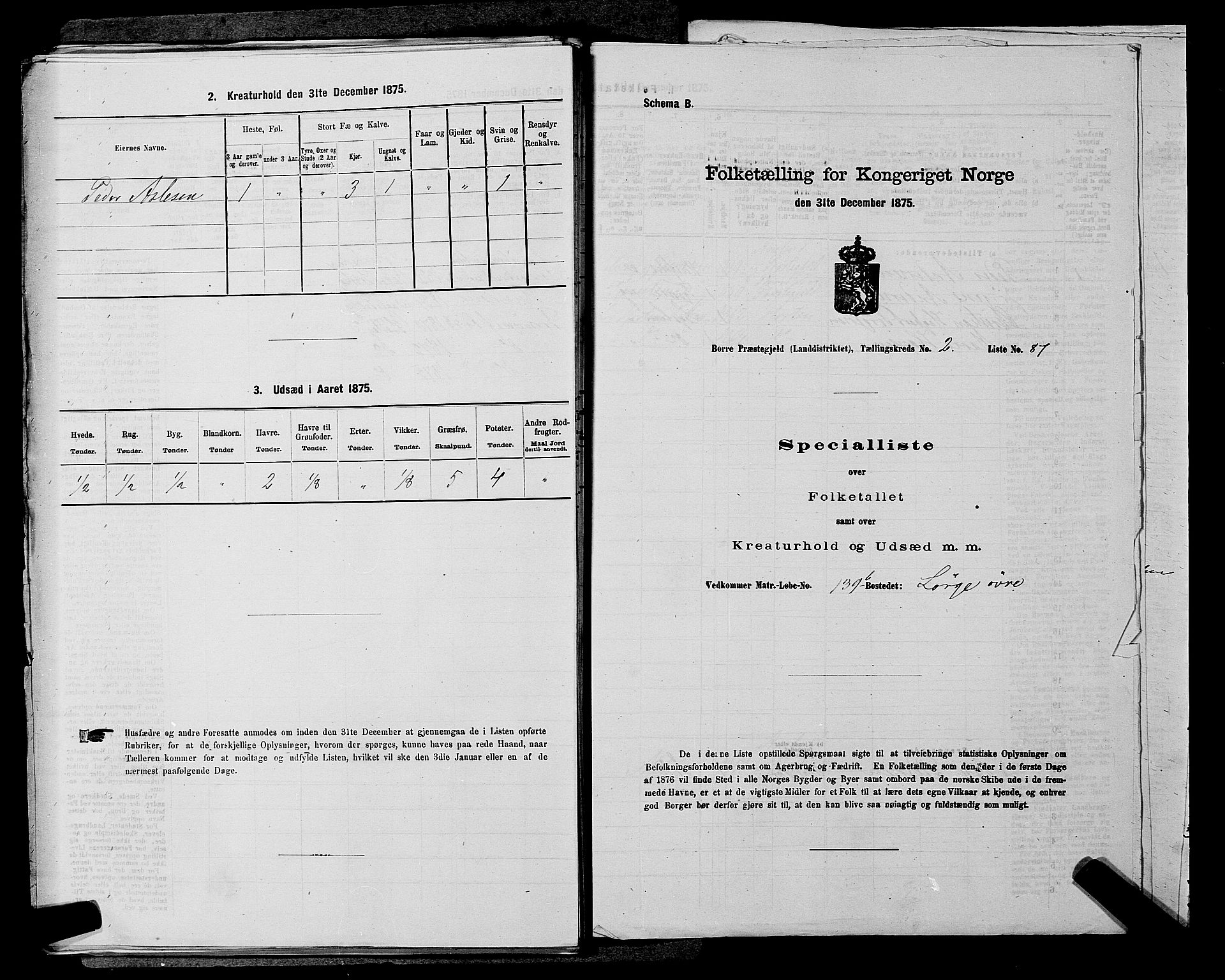 SAKO, 1875 census for 0717L Borre/Borre og Nykirke, 1875, p. 497