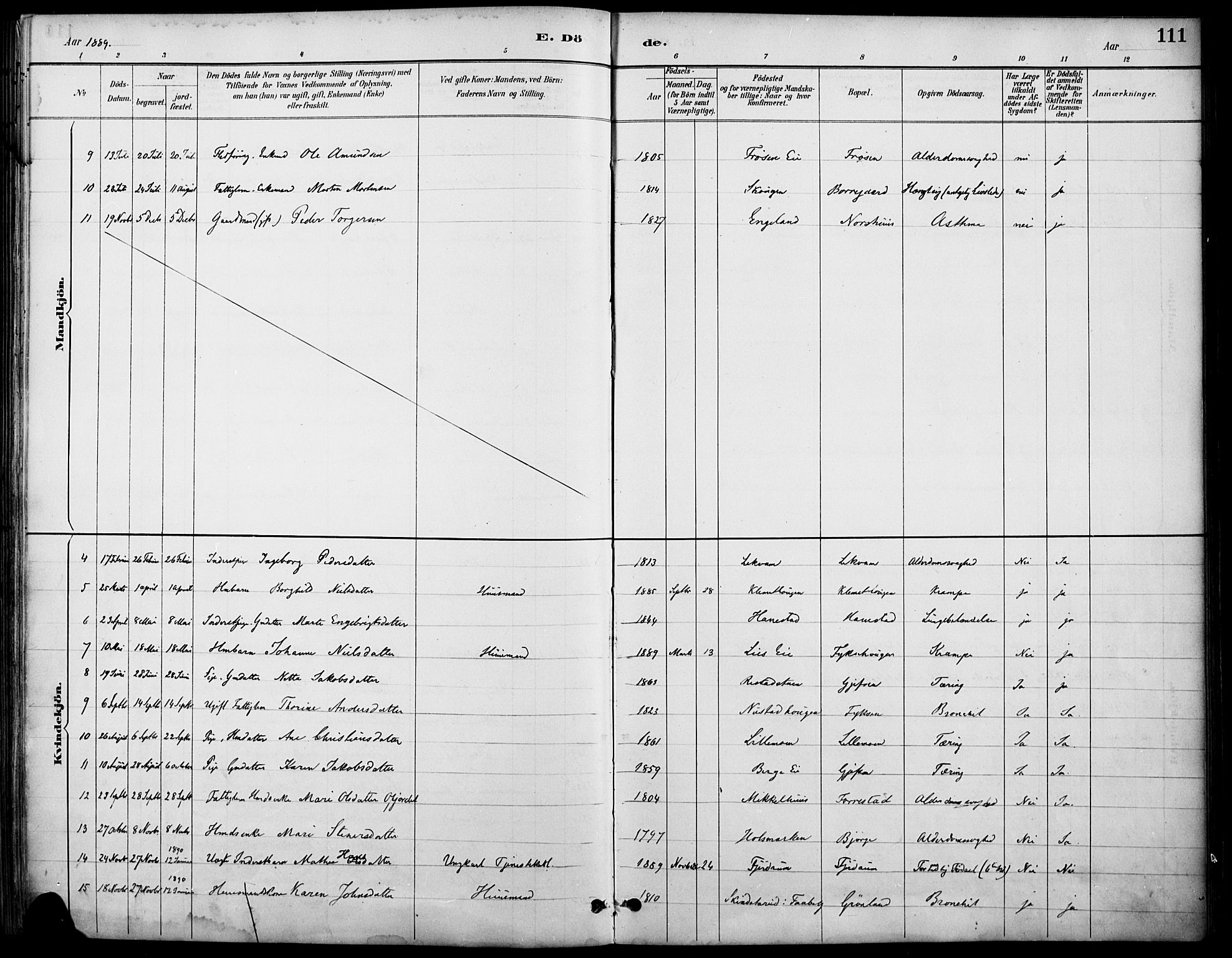 Østre Gausdal prestekontor, SAH/PREST-092/H/Ha/Haa/L0002: Parish register (official) no. 2, 1887-1897, p. 111