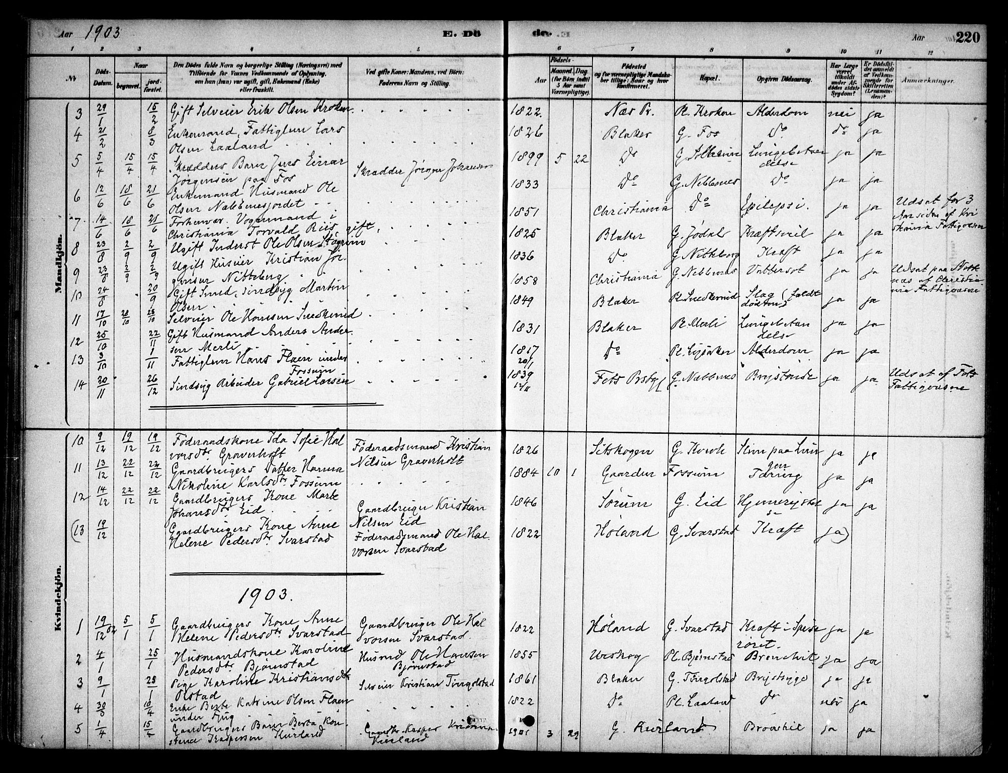 Aurskog prestekontor Kirkebøker, SAO/A-10304a/F/Fb/L0001: Parish register (official) no. II 1, 1878-1909, p. 220