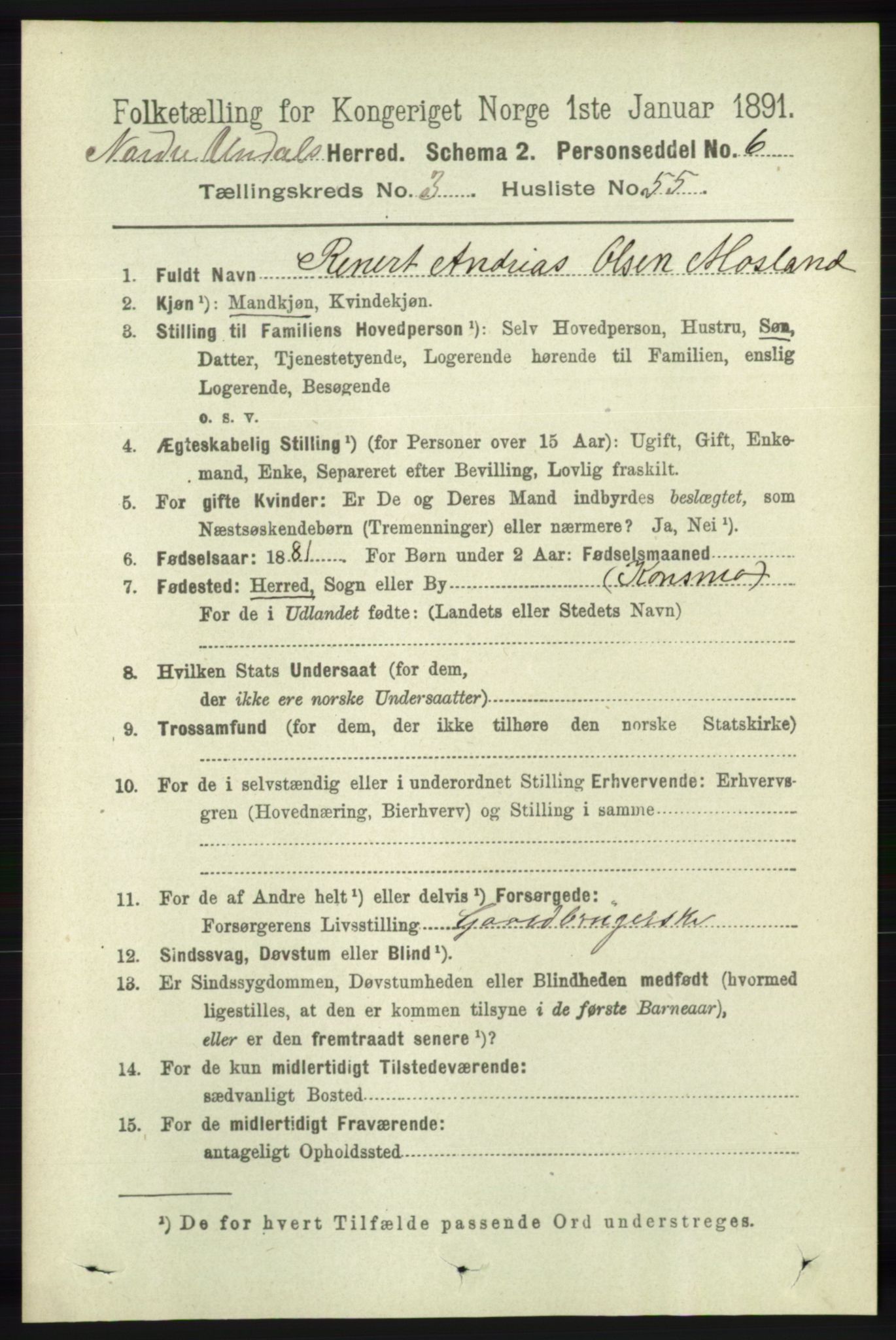 RA, 1891 census for 1028 Nord-Audnedal, 1891, p. 1016