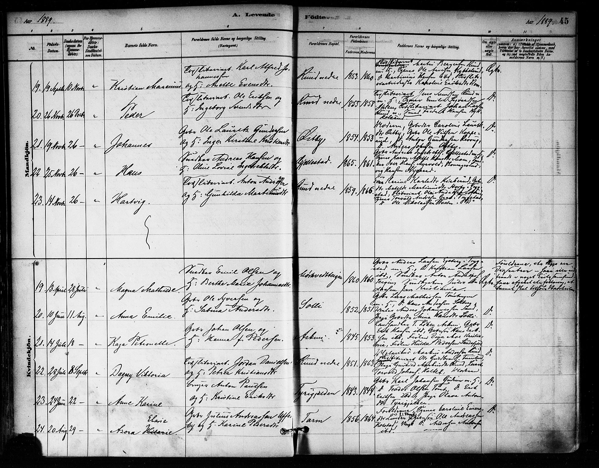 Askim prestekontor Kirkebøker, SAO/A-10900/F/Fa/L0007: Parish register (official) no. 7, 1882-1897, p. 45