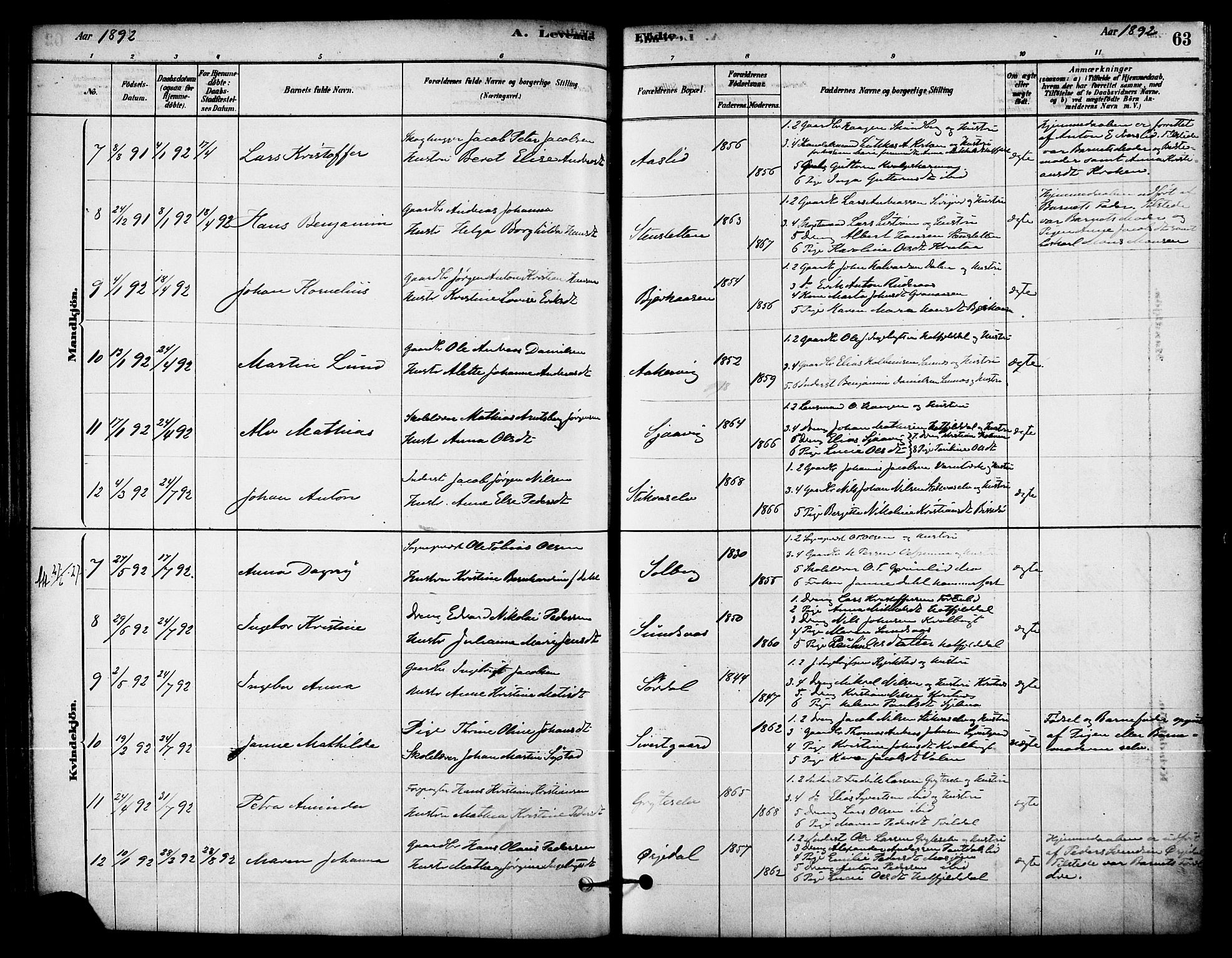 Ministerialprotokoller, klokkerbøker og fødselsregistre - Nordland, AV/SAT-A-1459/823/L0325: Parish register (official) no. 823A02, 1878-1898, p. 63