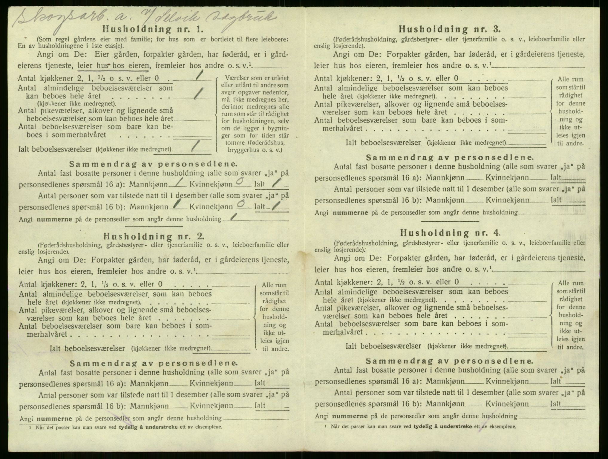 SAKO, 1920 census for Sande, 1920, p. 847