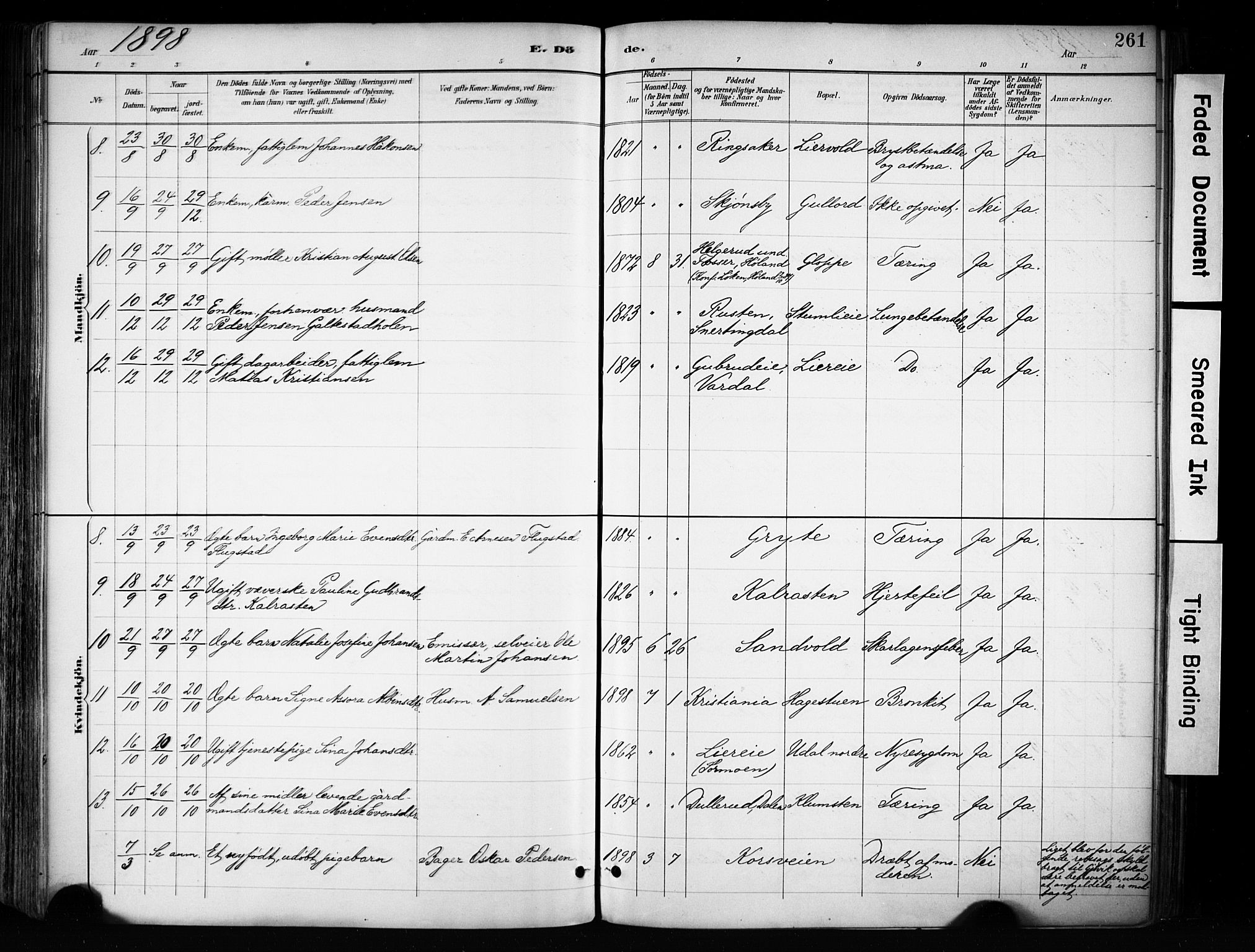 Biri prestekontor, AV/SAH-PREST-096/H/Ha/Haa/L0009: Parish register (official) no. 9, 1887-1900, p. 261