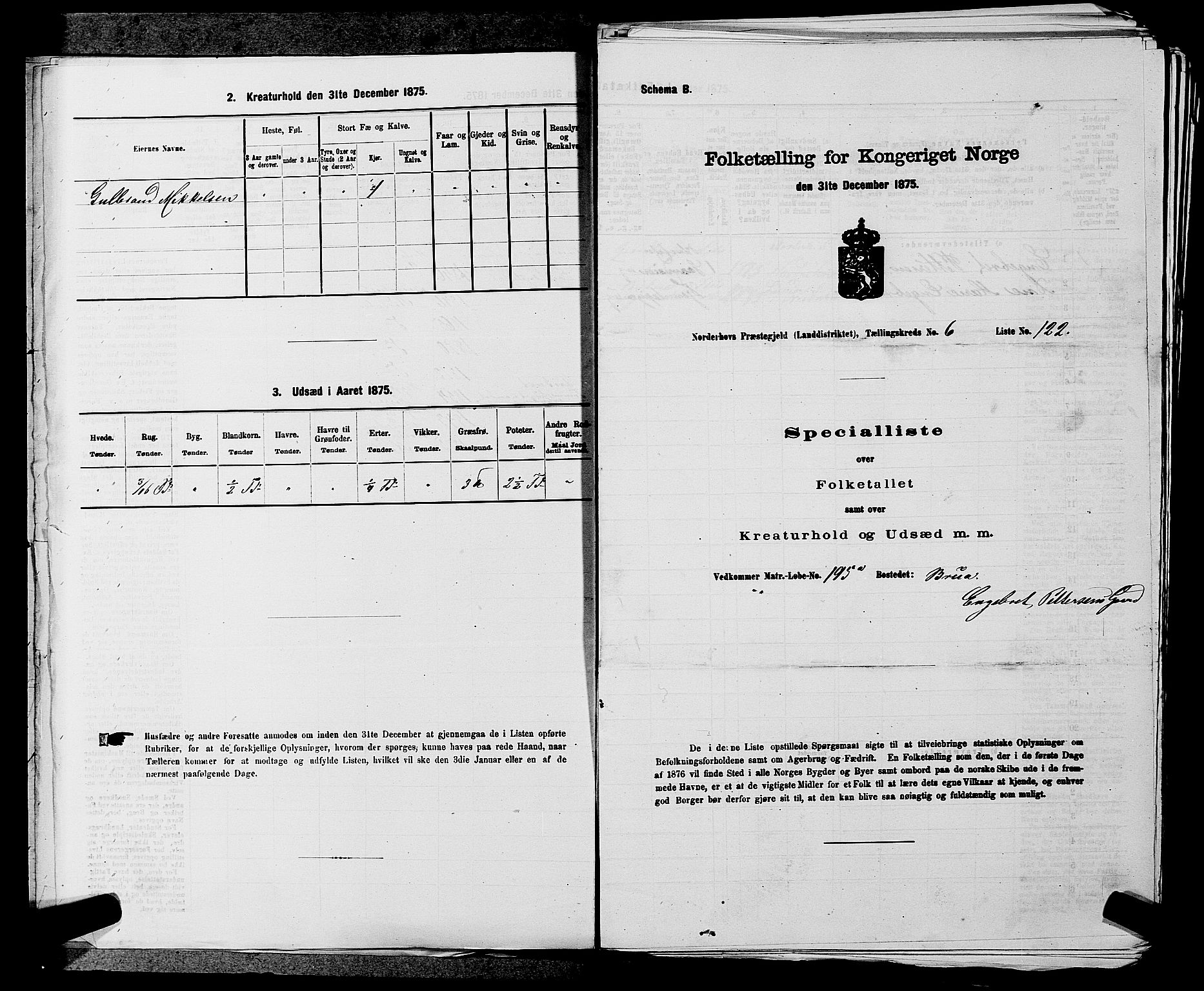 SAKO, 1875 census for 0613L Norderhov/Norderhov, Haug og Lunder, 1875, p. 974