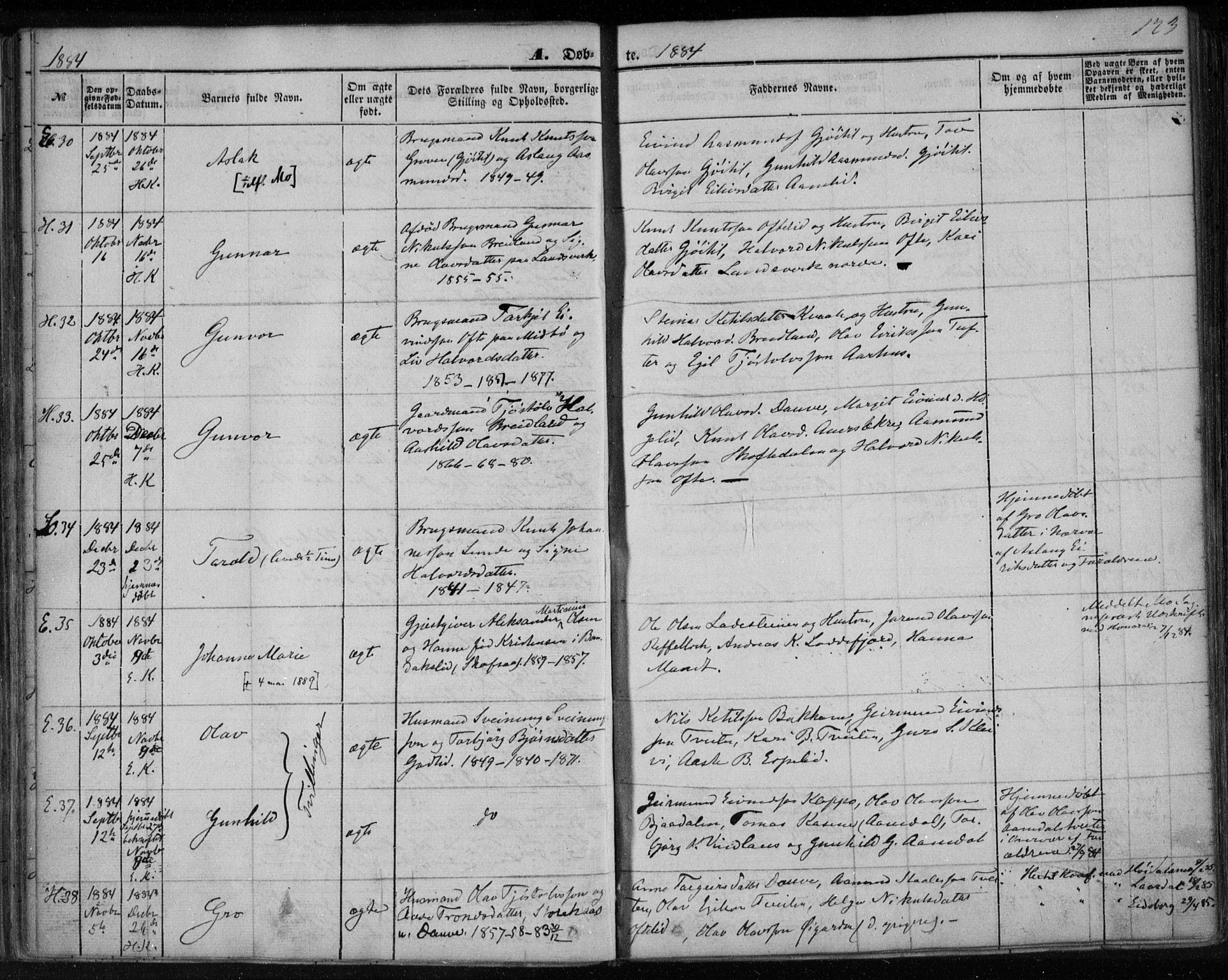 Lårdal kirkebøker, SAKO/A-284/F/Fa/L0006: Parish register (official) no. I 6, 1861-1886, p. 123