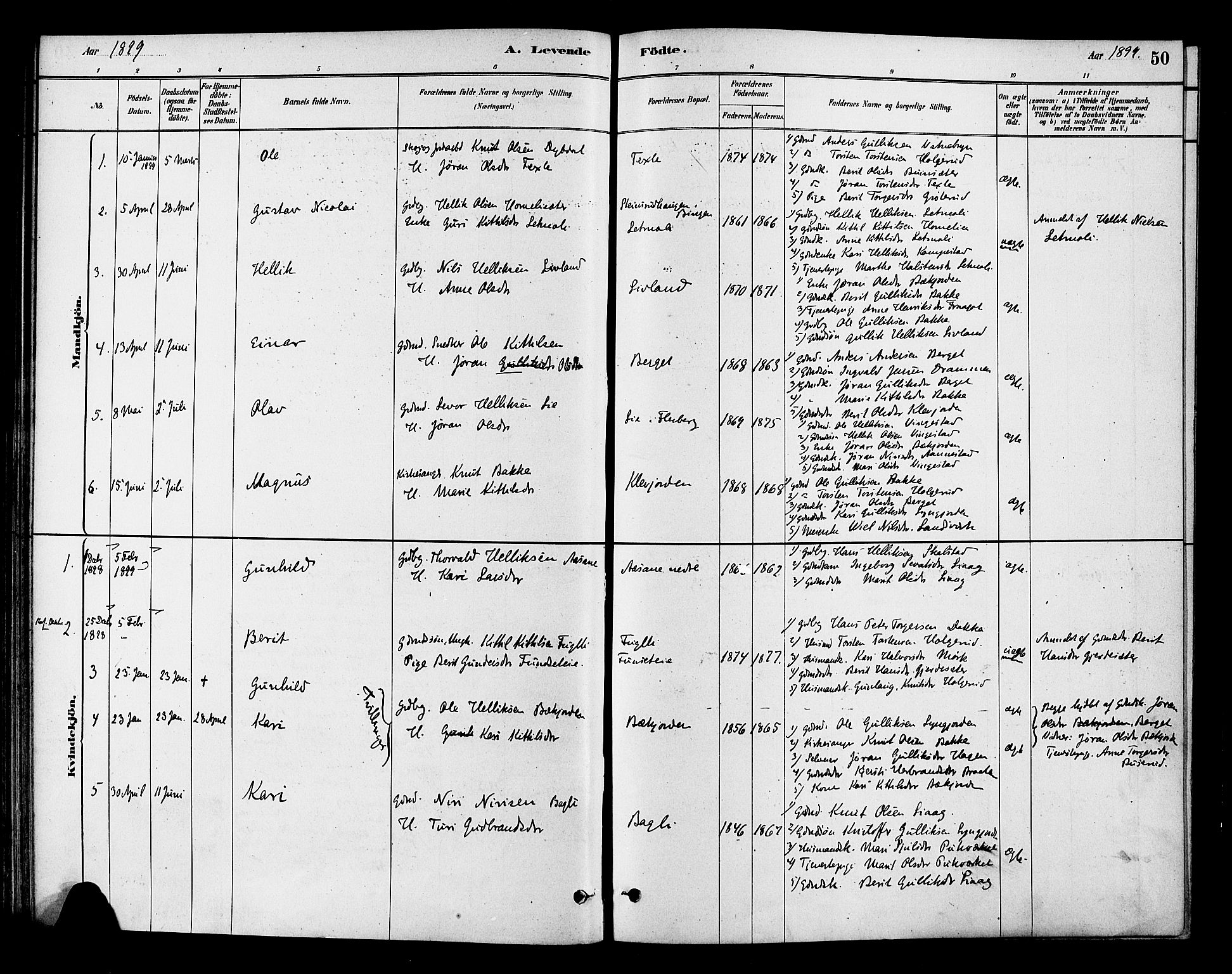 Flesberg kirkebøker, AV/SAKO-A-18/F/Fc/L0001: Parish register (official) no. III 1, 1879-1905, p. 50