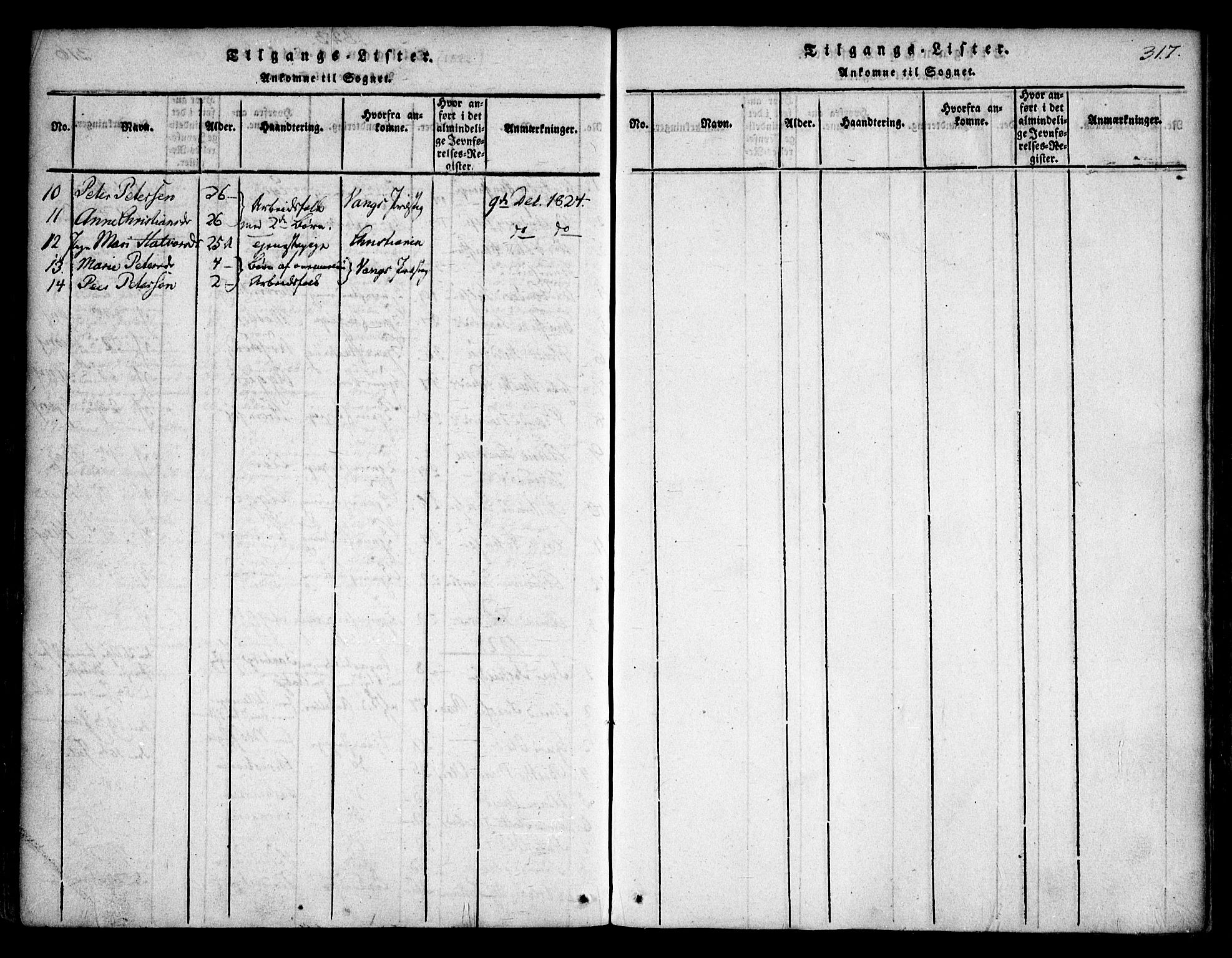 Asker prestekontor Kirkebøker, SAO/A-10256a/F/Fa/L0006: Parish register (official) no. I 6, 1814-1824, p. 317