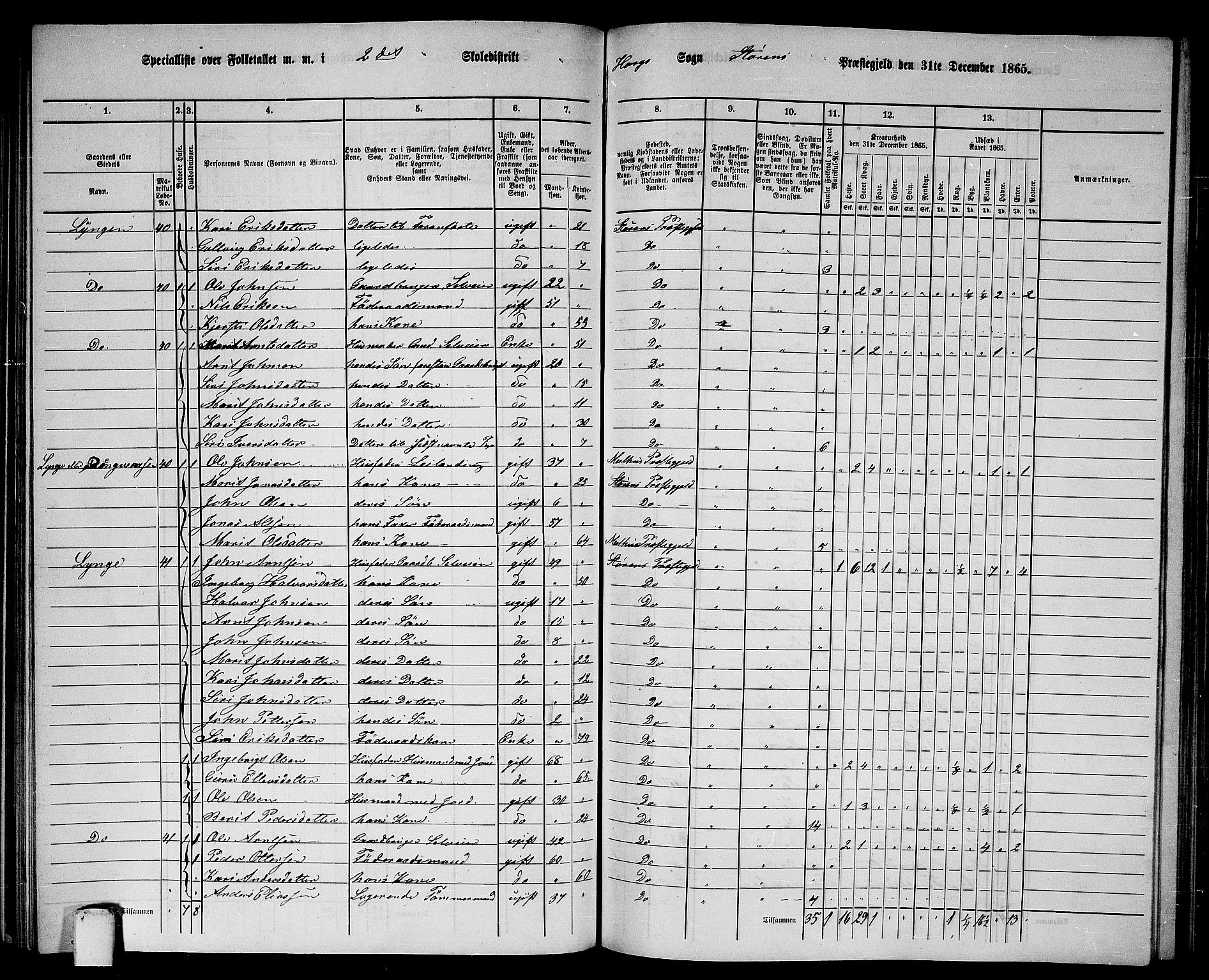 RA, 1865 census for Støren, 1865, p. 139