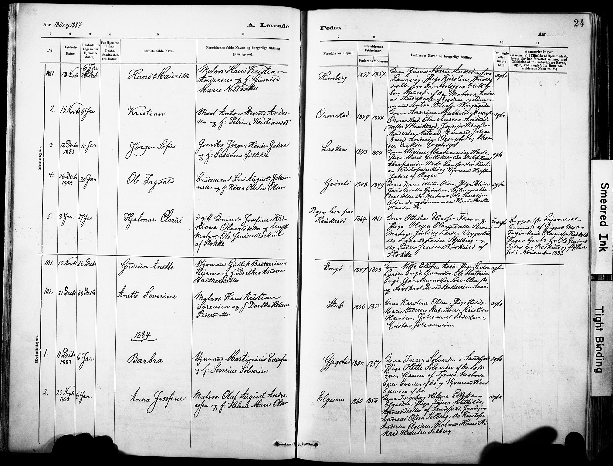 Sandar kirkebøker, AV/SAKO-A-243/F/Fa/L0012: Parish register (official) no. 12, 1883-1895, p. 24