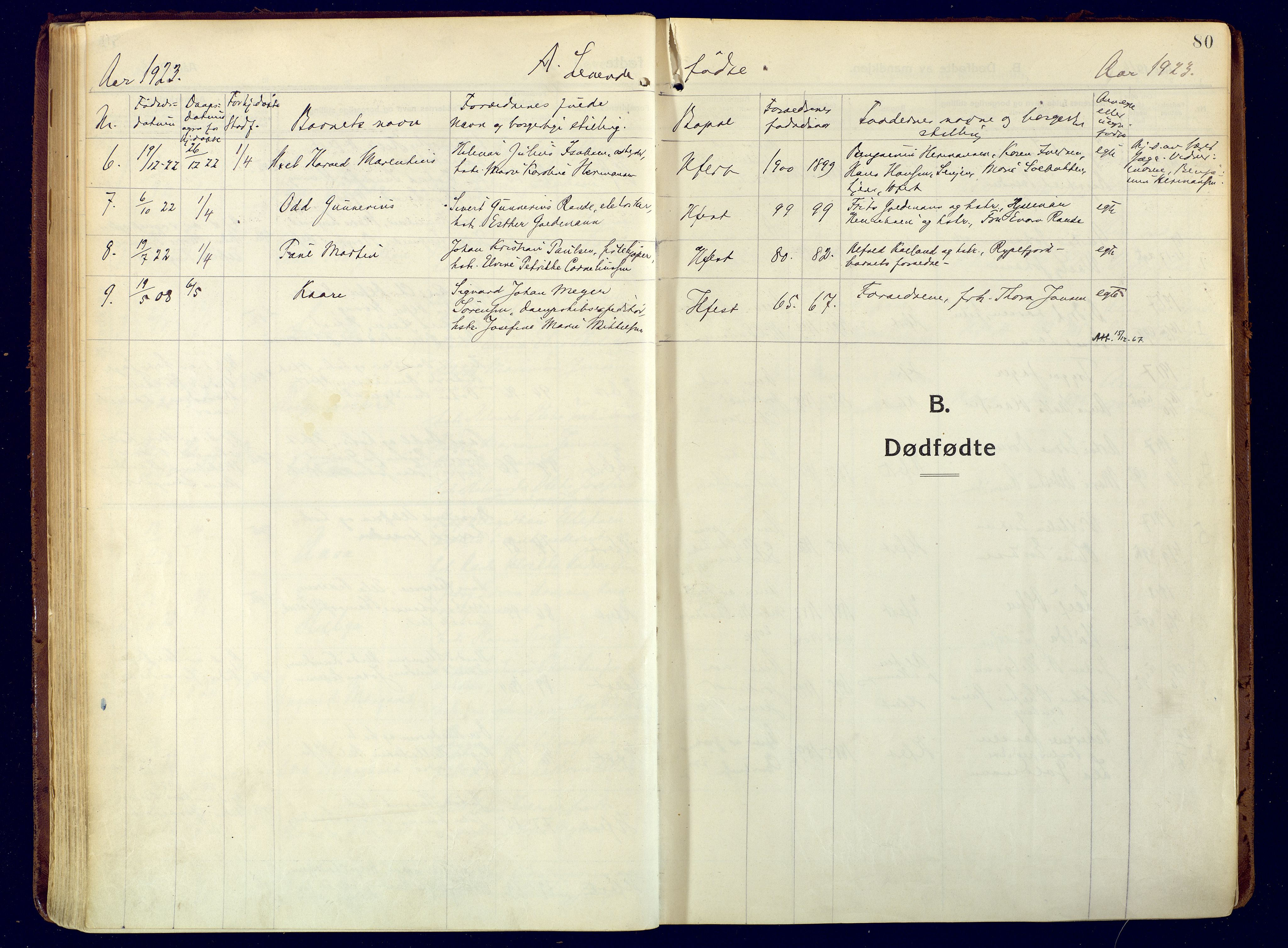 Hammerfest sokneprestkontor, AV/SATØ-S-1347/H/Ha/L0015.kirke: Parish register (official) no. 15, 1916-1923, p. 80