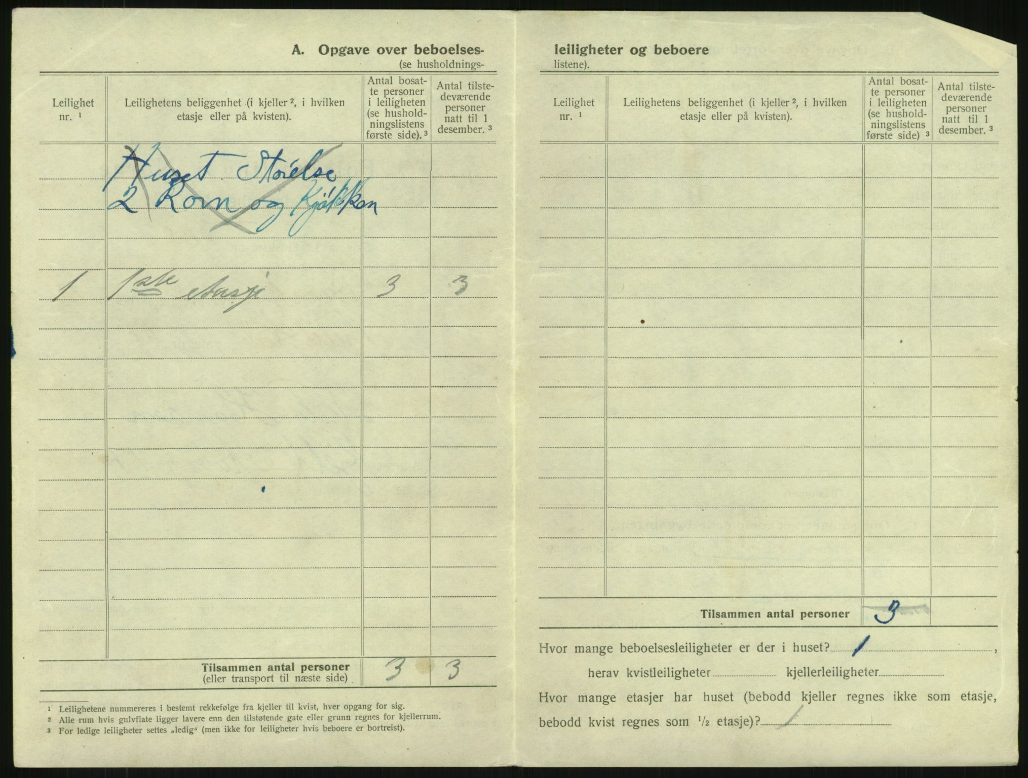 SAKO, 1920 census for Larvik, 1920, p. 2847