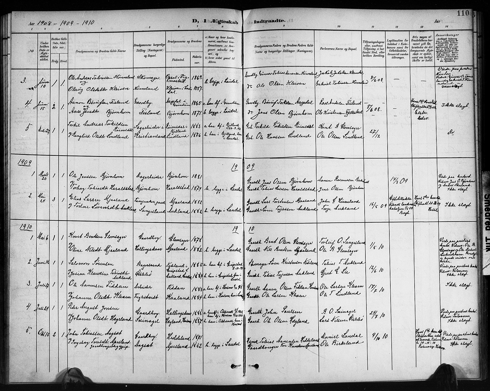 Holum sokneprestkontor, SAK/1111-0022/F/Fb/Fbb/L0004: Parish register (copy) no. B 4, 1899-1920, p. 110