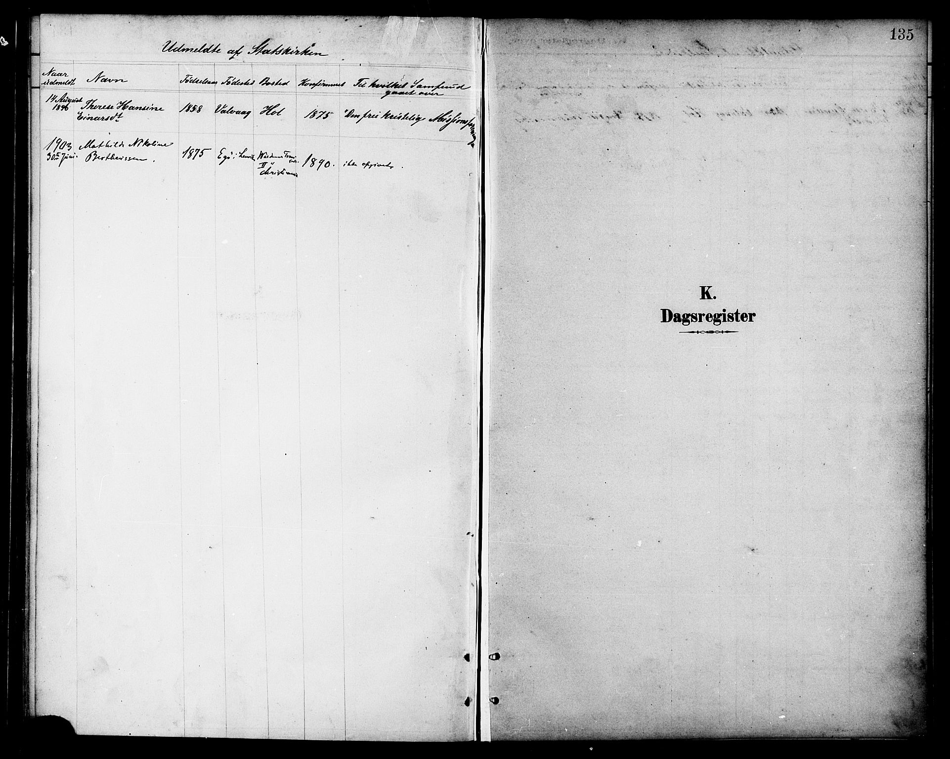 Ministerialprotokoller, klokkerbøker og fødselsregistre - Nordland, SAT/A-1459/865/L0924: Parish register (official) no. 865A02, 1885-1896, p. 135