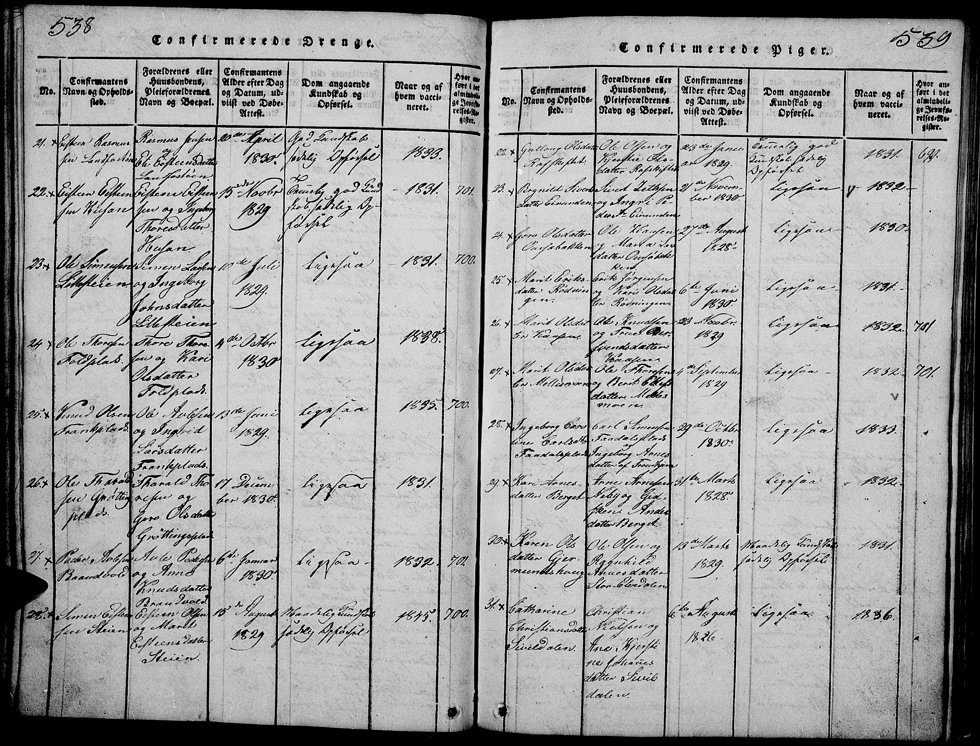 Tynset prestekontor, SAH/PREST-058/H/Ha/Hab/L0002: Parish register (copy) no. 2, 1814-1862, p. 538-539