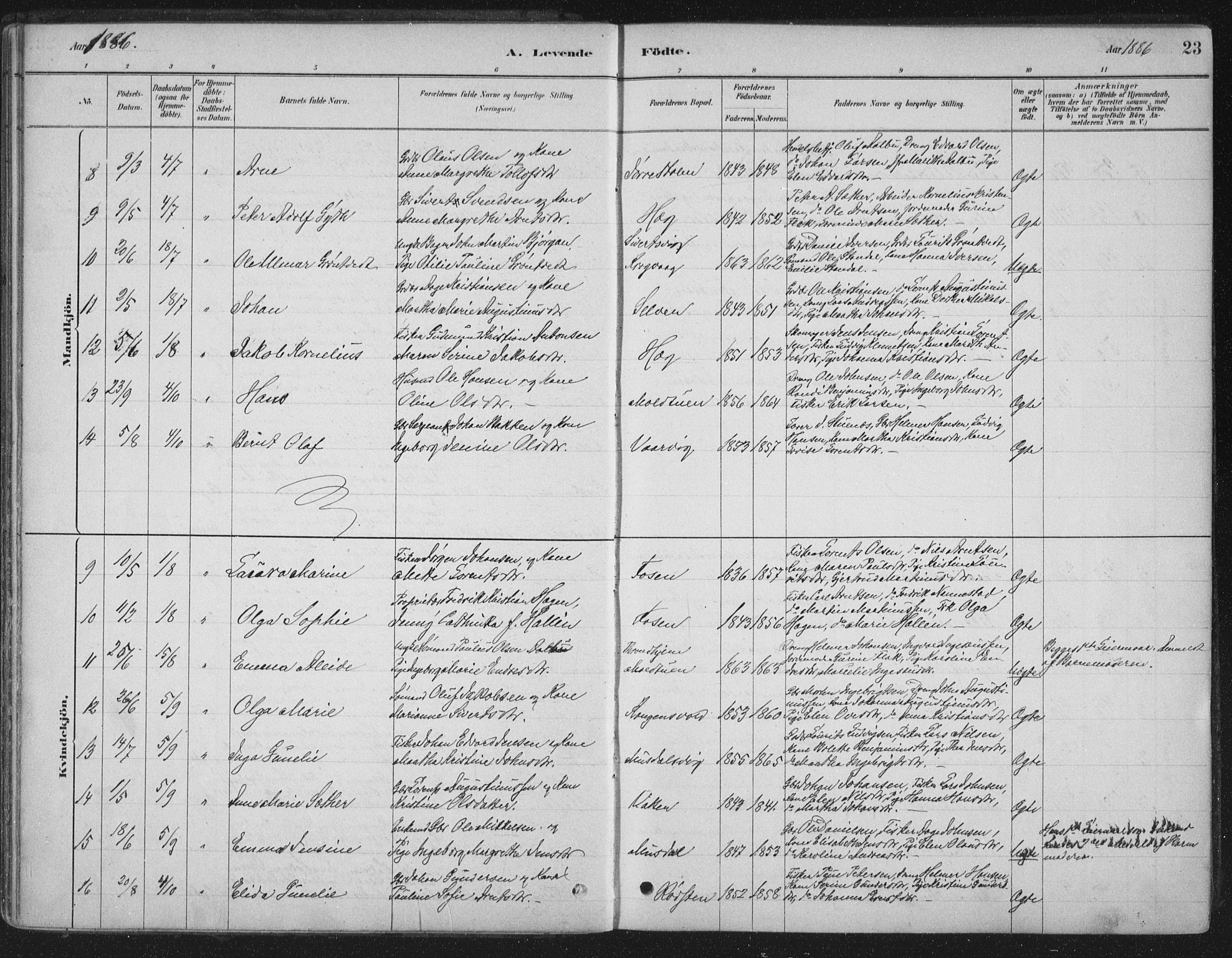 Ministerialprotokoller, klokkerbøker og fødselsregistre - Sør-Trøndelag, AV/SAT-A-1456/662/L0755: Parish register (official) no. 662A01, 1879-1905, p. 23