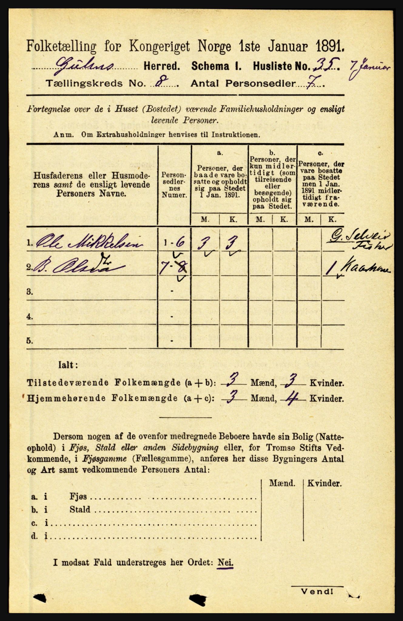 RA, 1891 census for 1411 Gulen, 1891, p. 2441