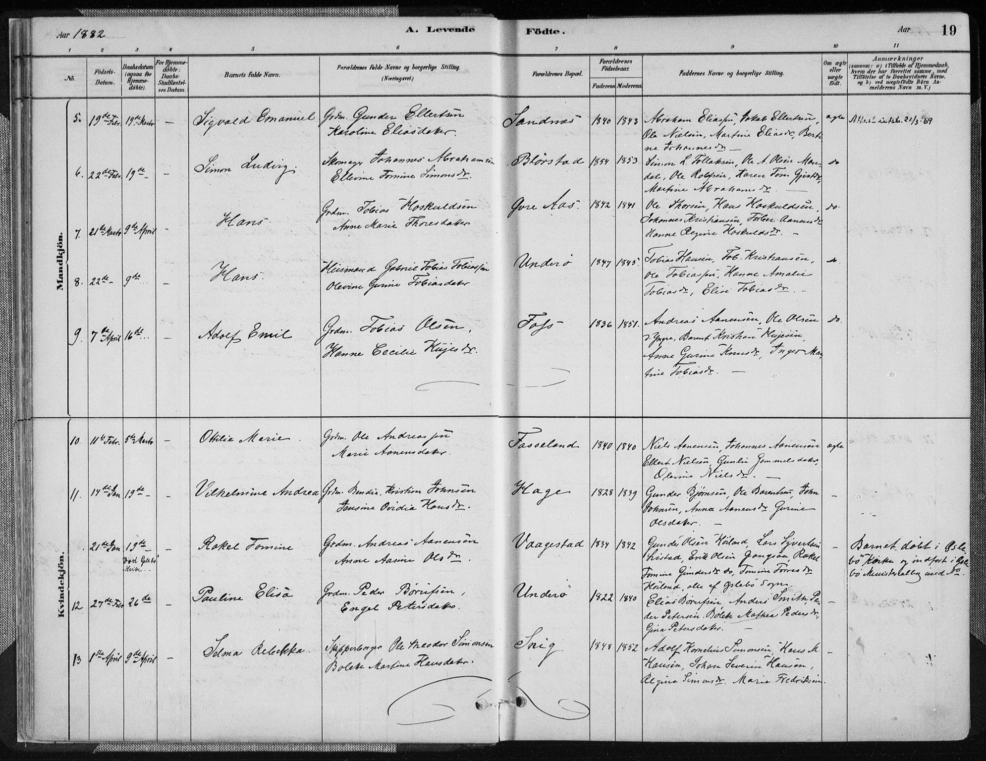 Sør-Audnedal sokneprestkontor, AV/SAK-1111-0039/F/Fa/Fab/L0009: Parish register (official) no. A 9, 1880-1895, p. 19