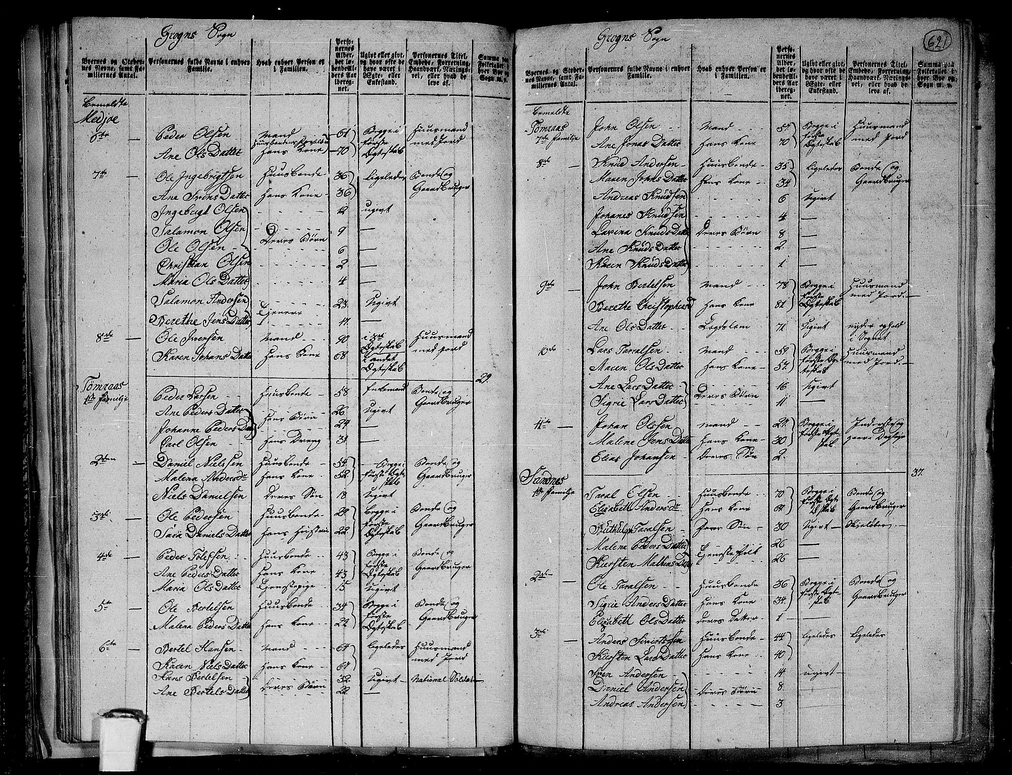 RA, 1801 census for 1744P Overhalla, 1801, p. 620b-621a