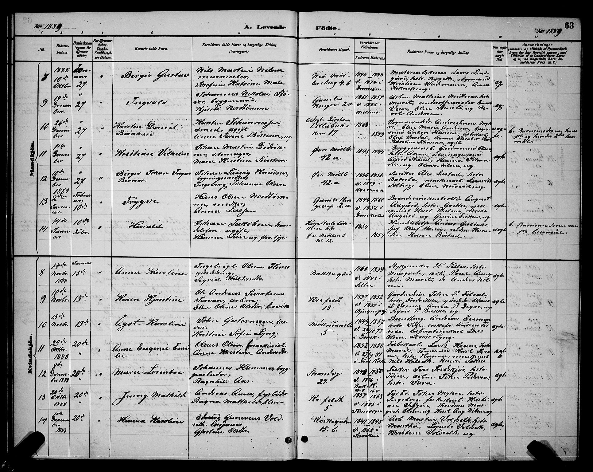 Ministerialprotokoller, klokkerbøker og fødselsregistre - Sør-Trøndelag, SAT/A-1456/604/L0222: Parish register (copy) no. 604C05, 1886-1895, p. 63