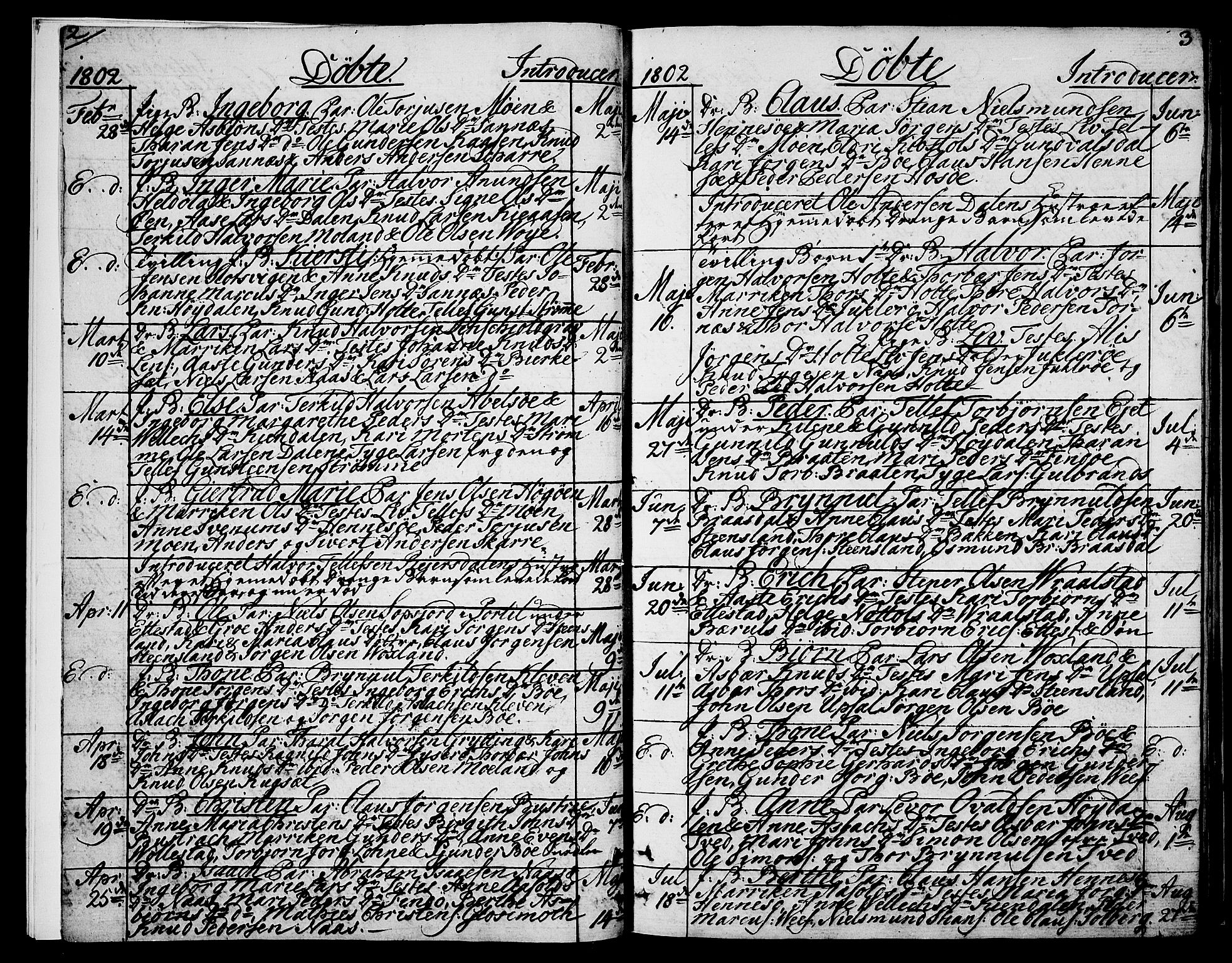 Drangedal kirkebøker, SAKO/A-258/F/Fa/L0004: Parish register (official) no. 4, 1802-1814, p. 2-3